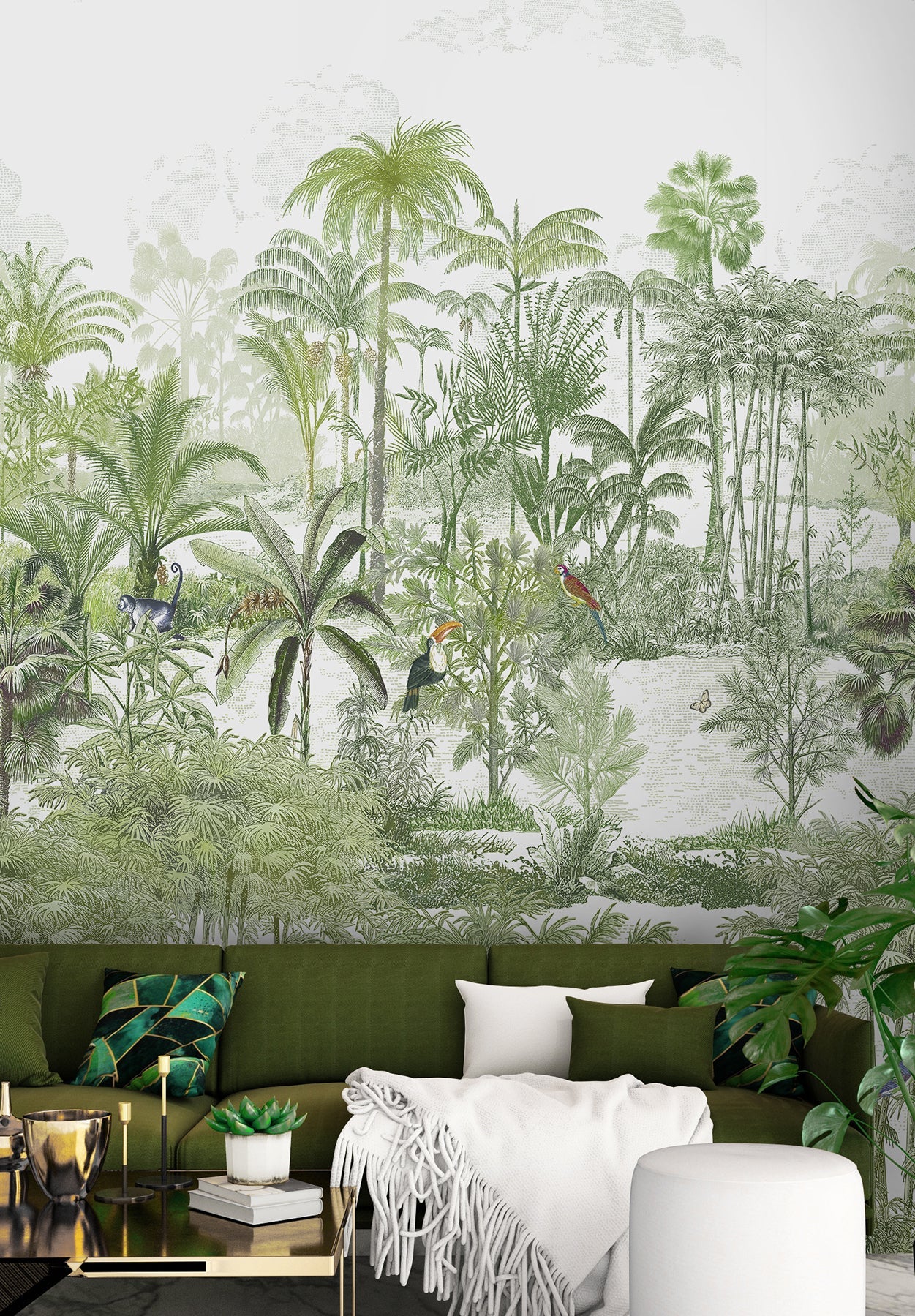 Amazone naturel - Image 3