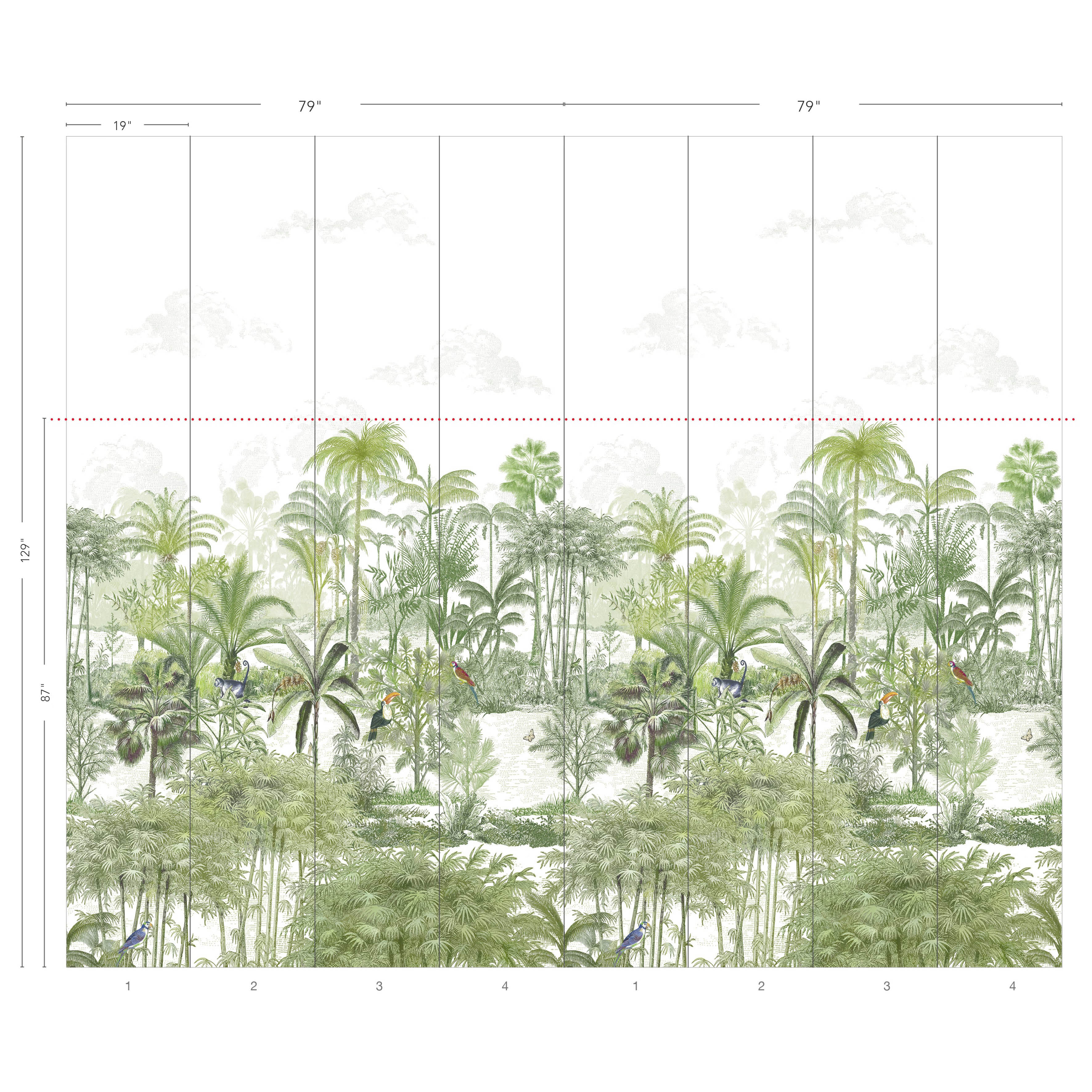 Amazone naturel - Image 5