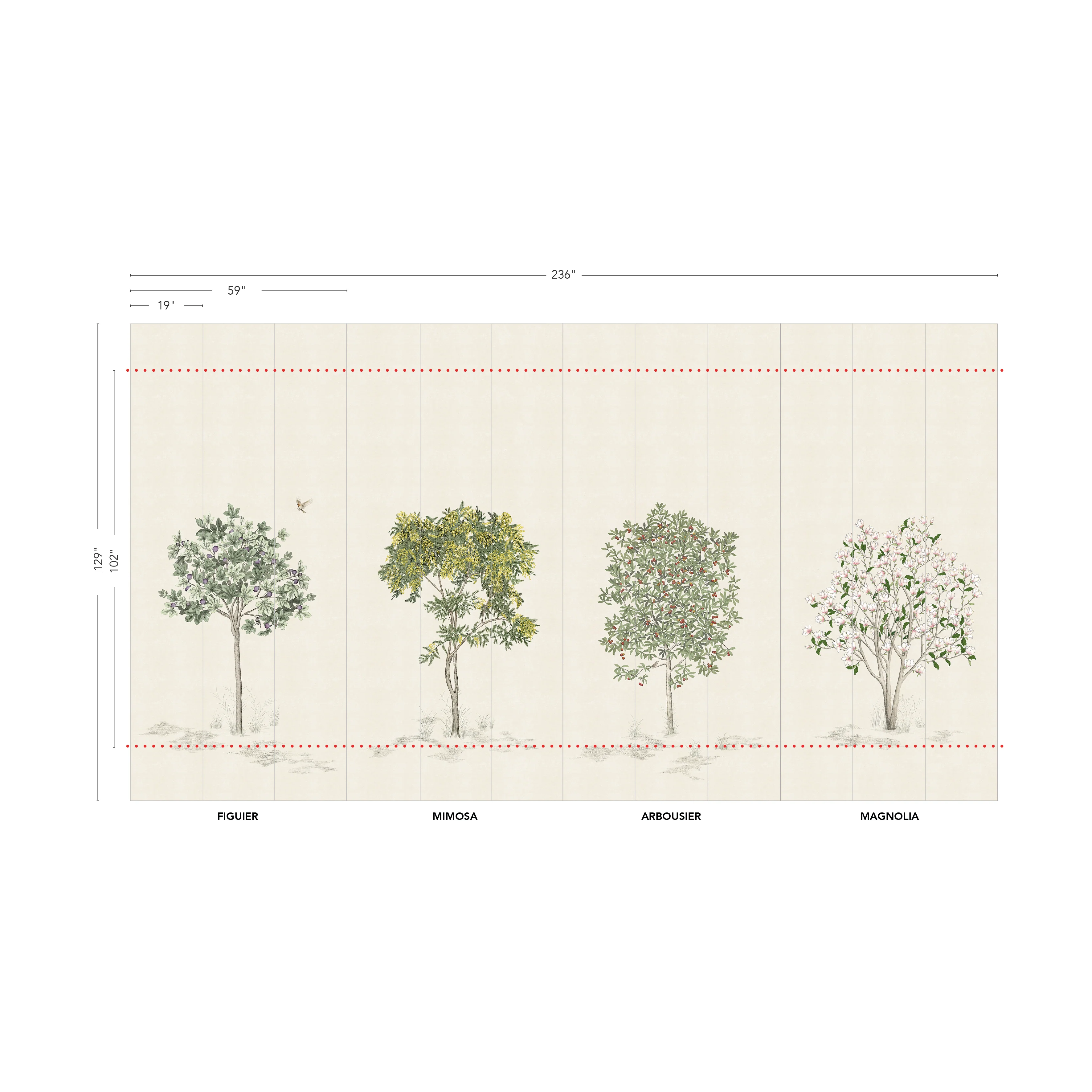 Arbustes - Image 8