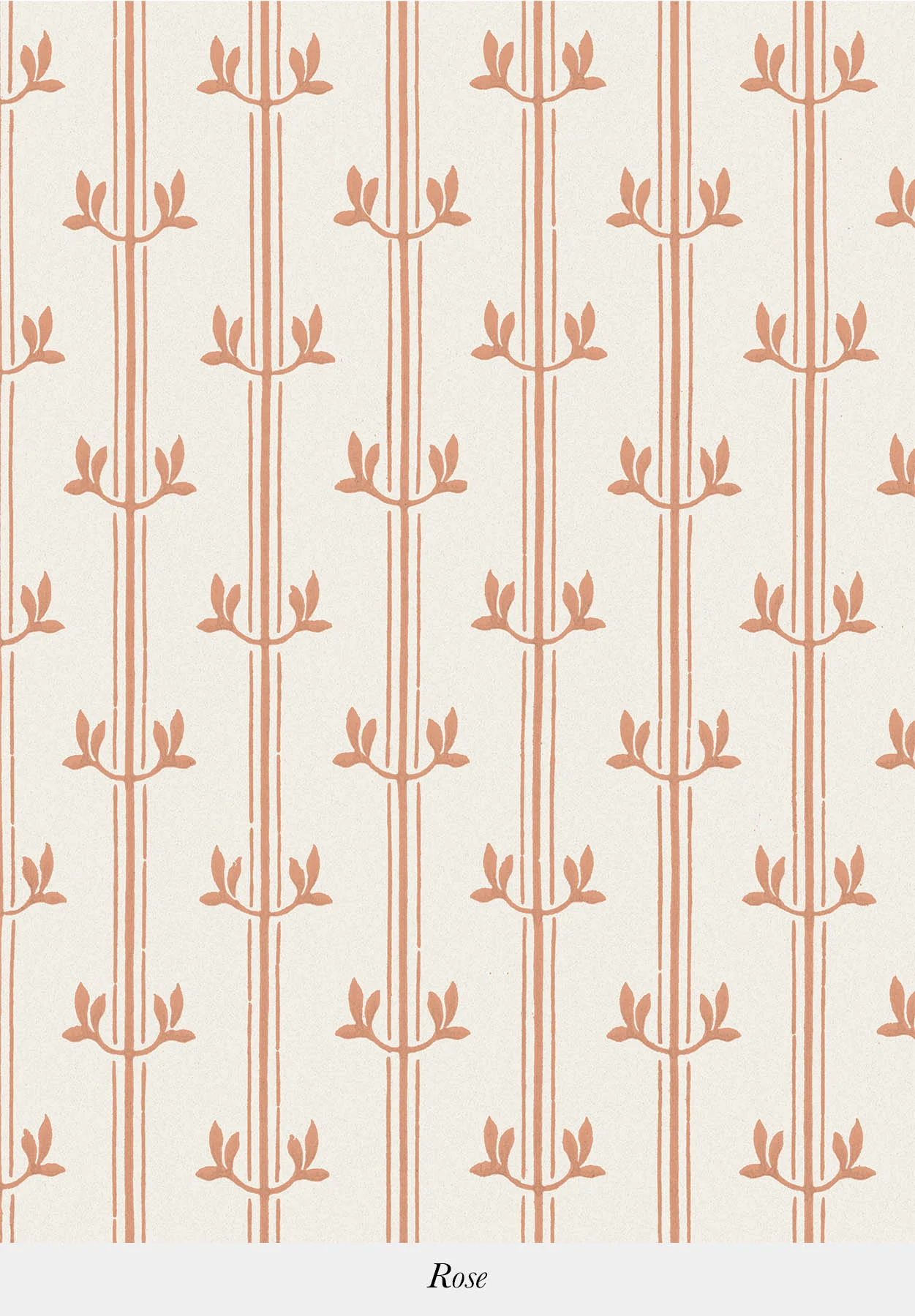 Aurèle Stripe - Image 8