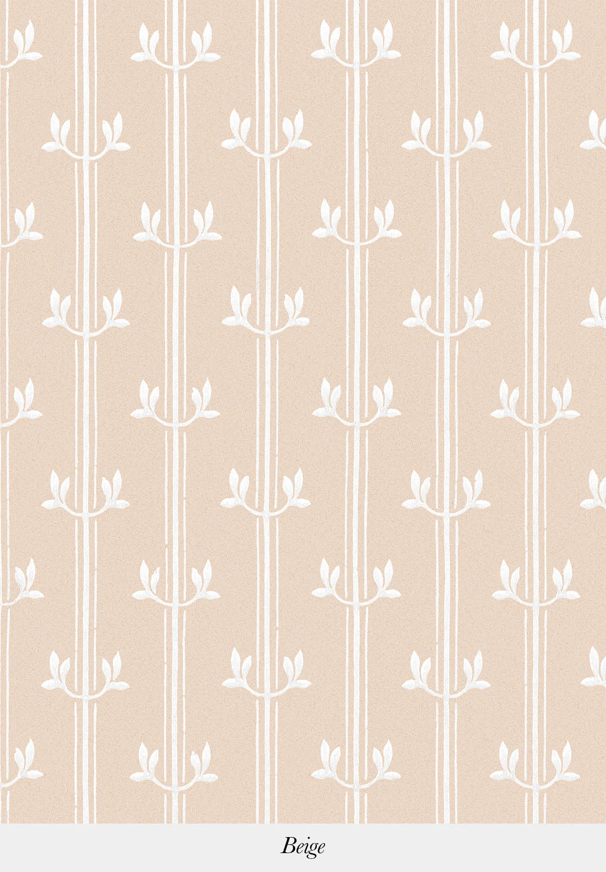 Aurèle Stripe - Image 9