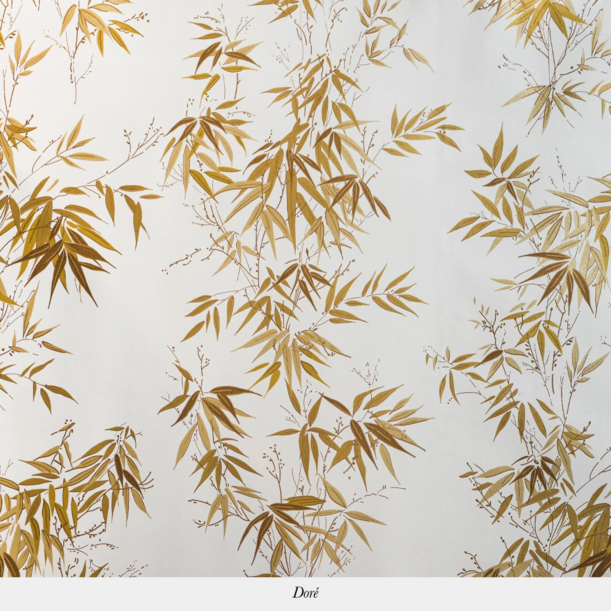 Bambous - Image 3