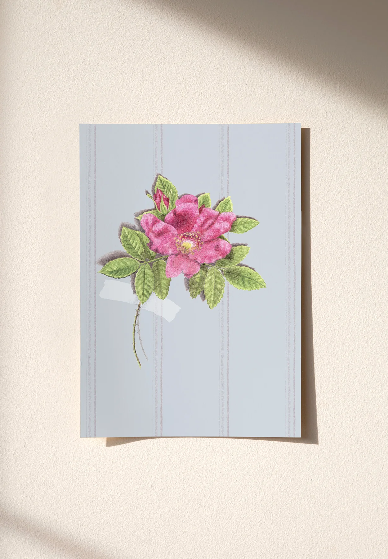 Beach Roses Sample - Image 2