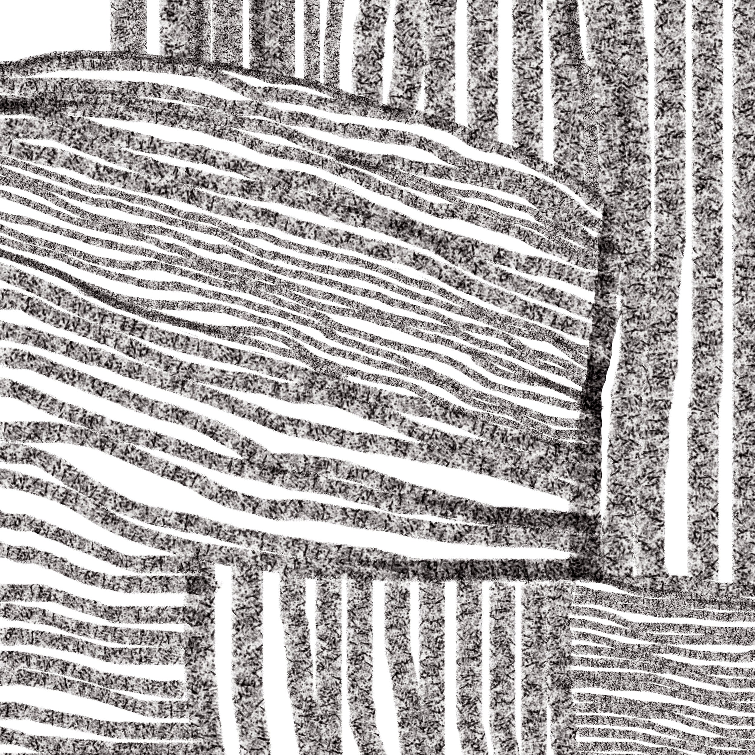 CARBON - N°3 - Image 3