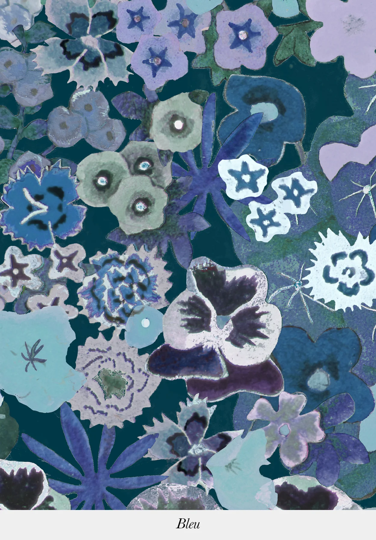 Champs Fleuris - Image 7