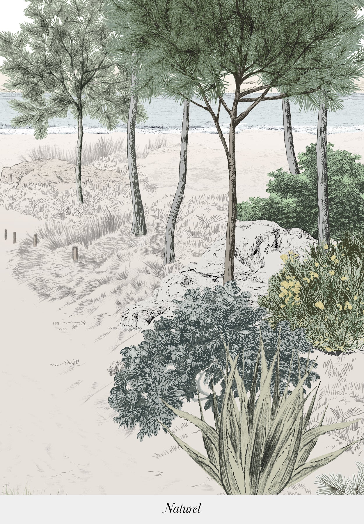 Dune bespoke - Sisal Grasscloth - Image 10