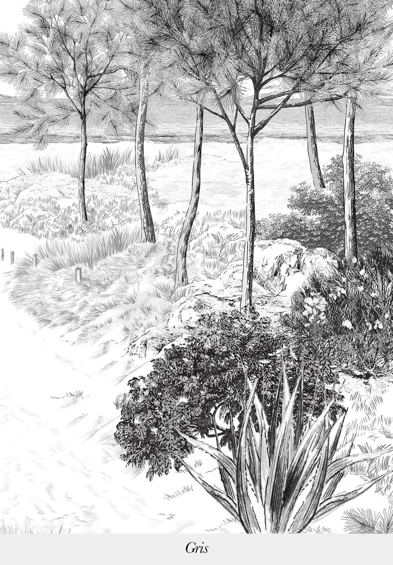 Dune - Image 10