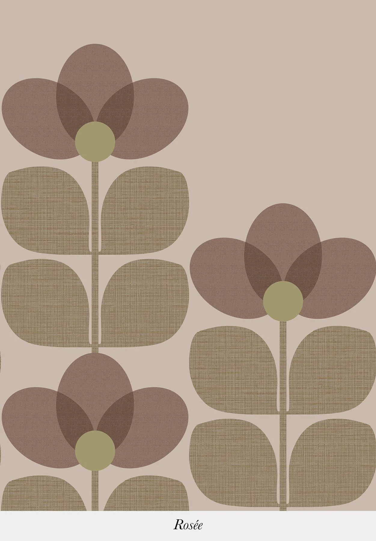Flower - Image 6