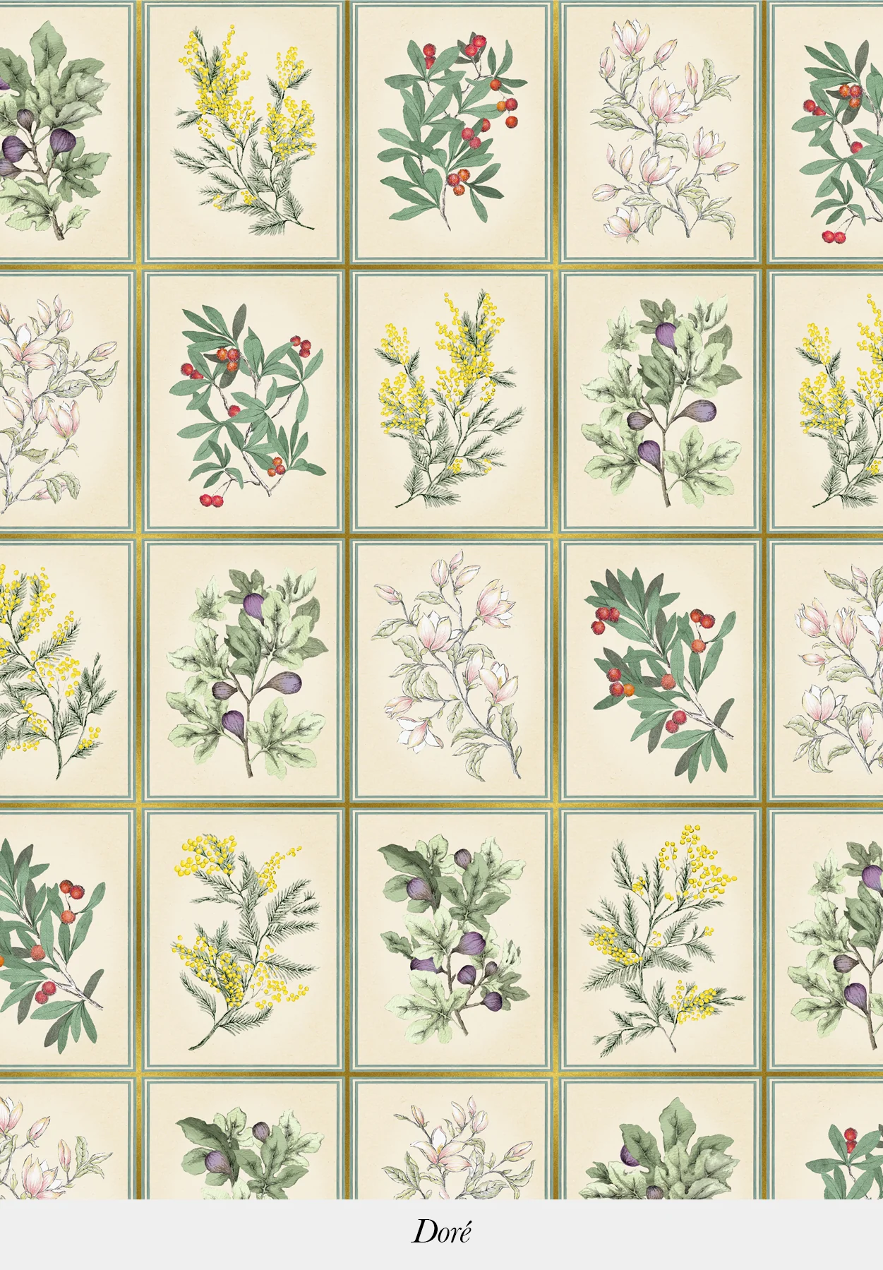 Herbier - Image 4