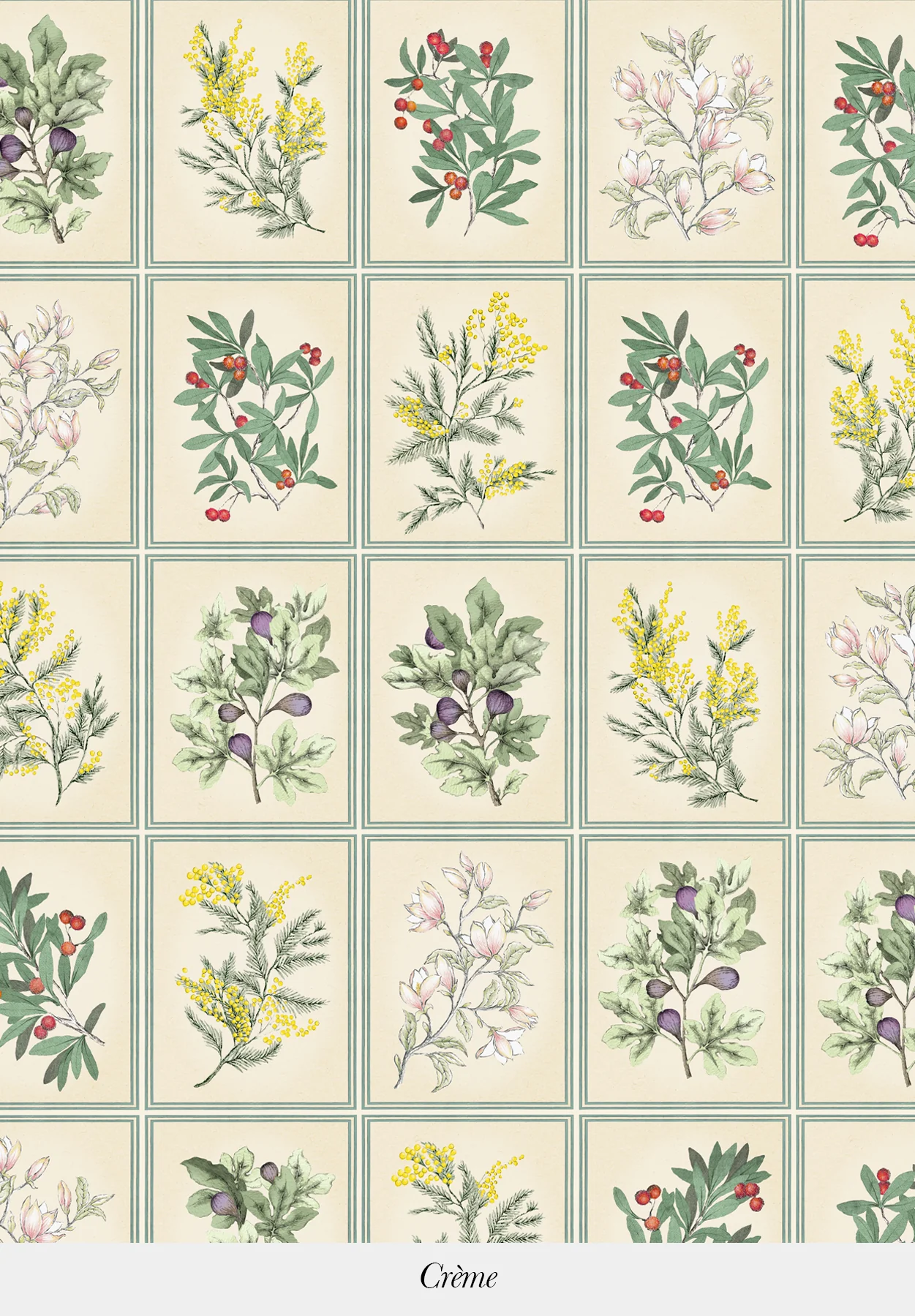 Herbier - Image 5