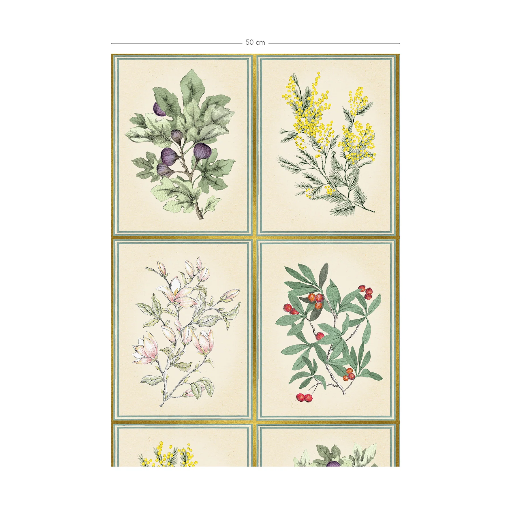 Herbier - Image 6