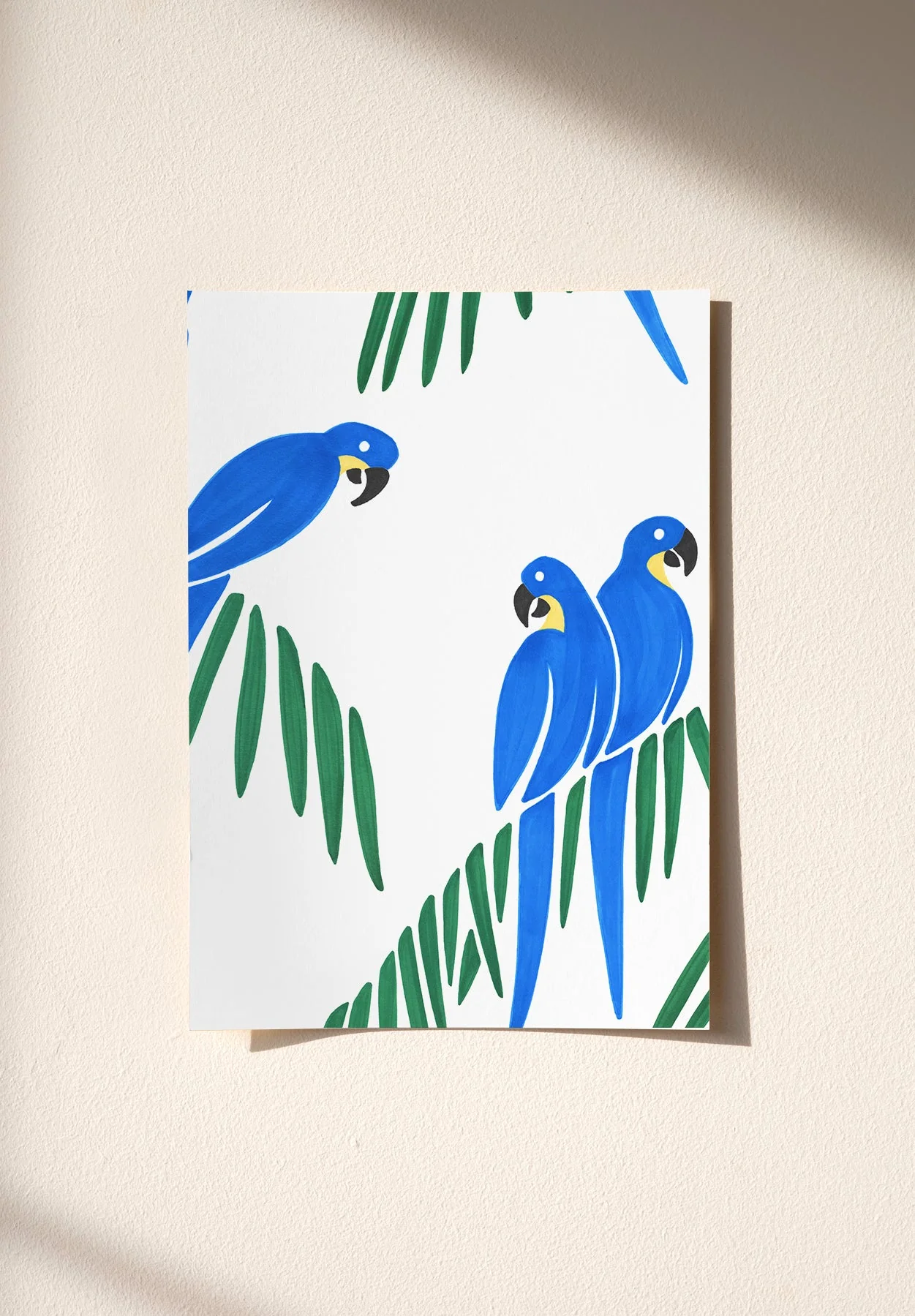 Jaco Sample - Image 2