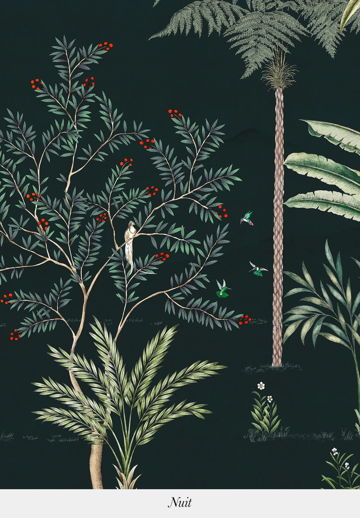 Jardin des Oiseaux - Image 7