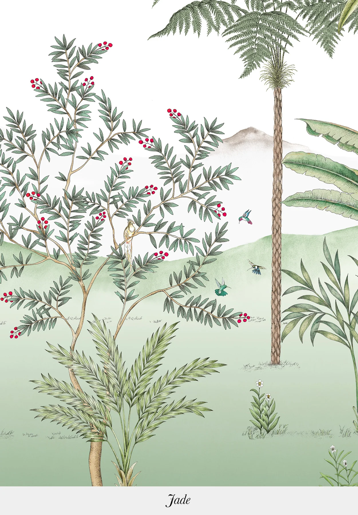 Jardin des Oiseaux bespoke - Image 5