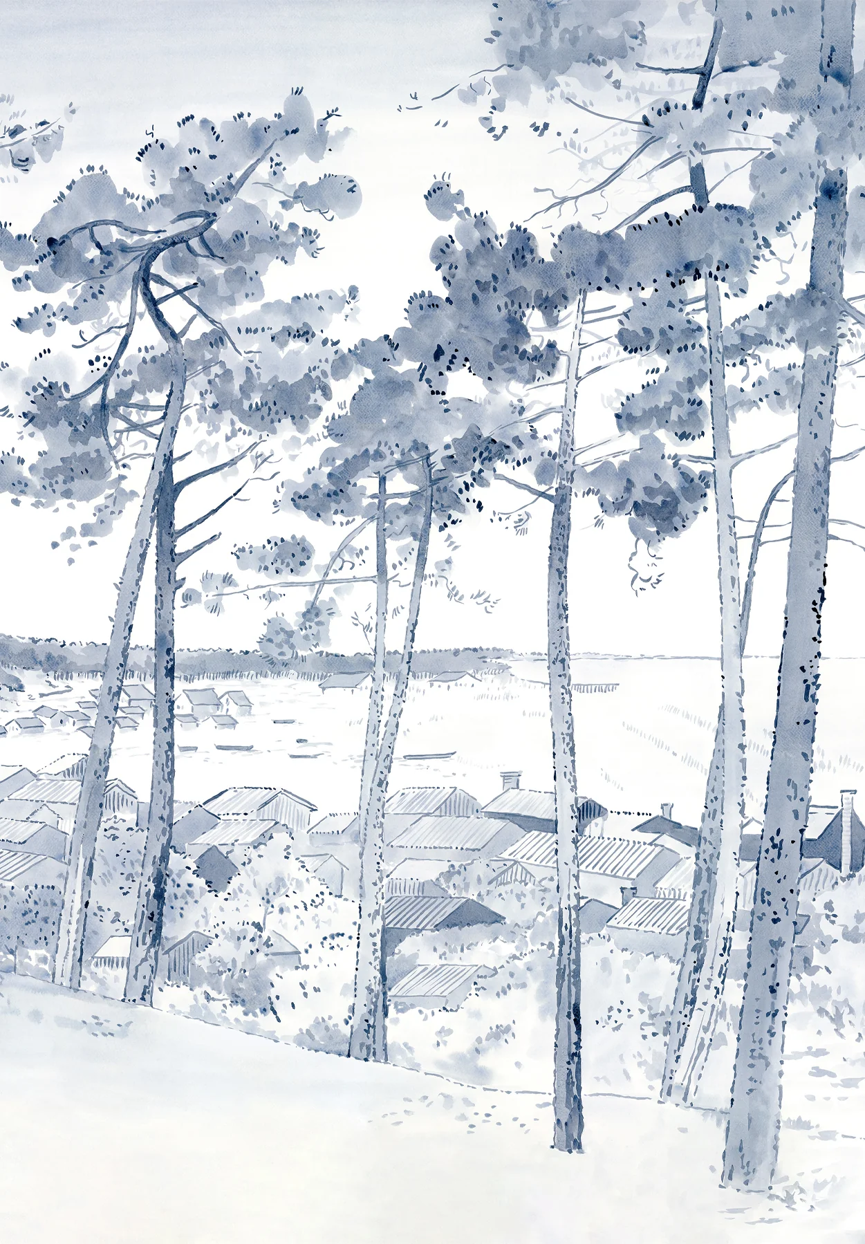 Landscape and Nature