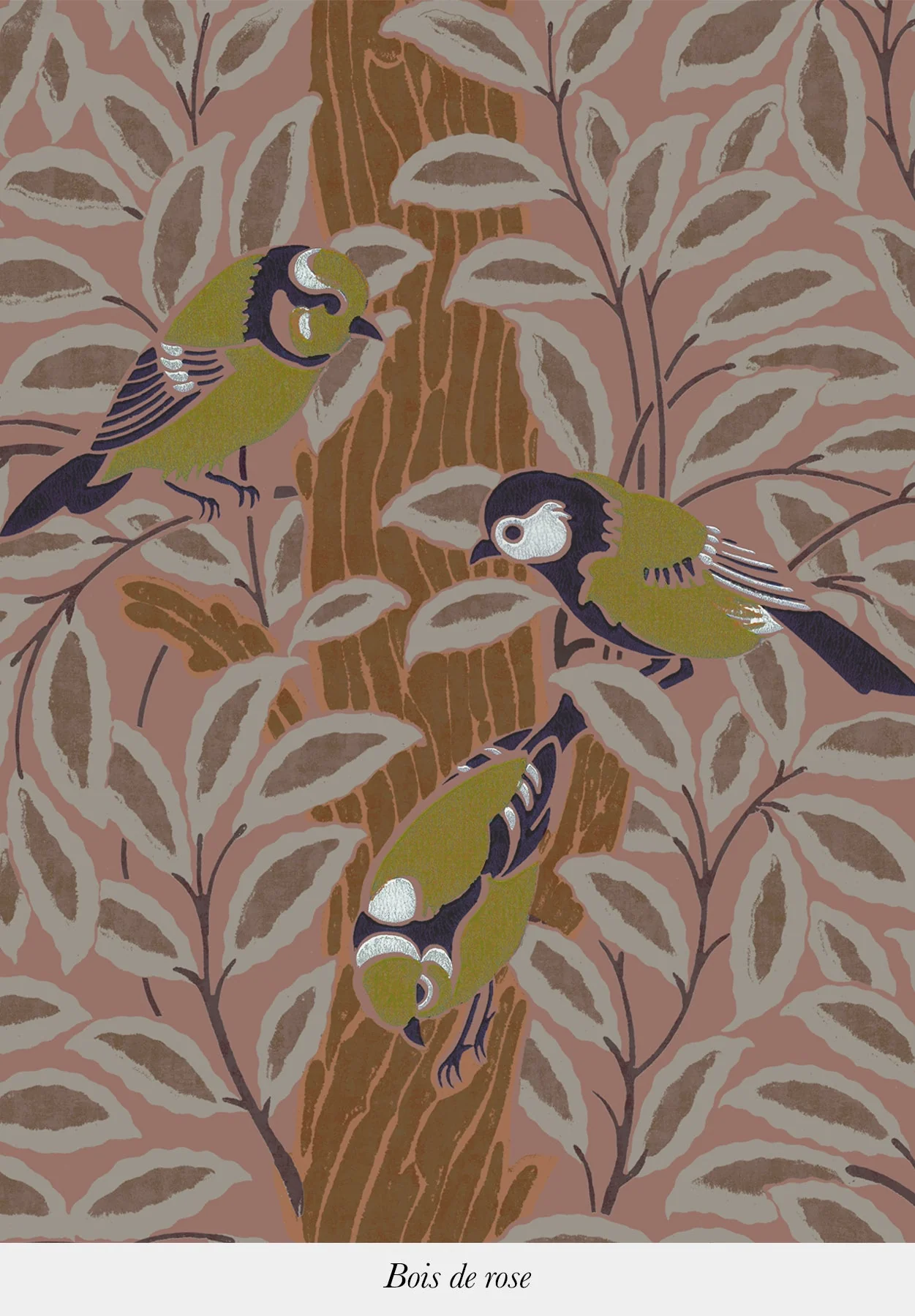 Le Chant des Oiseaux - Image 4