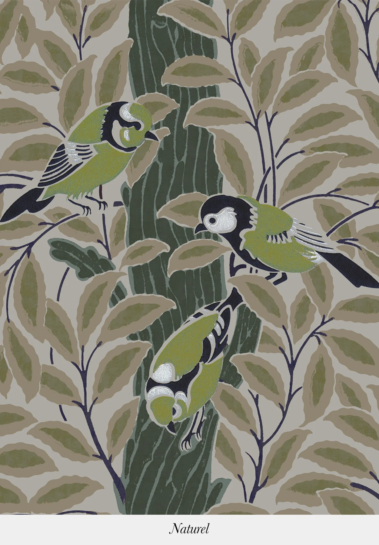 Le Chant des Oiseaux - Image 6