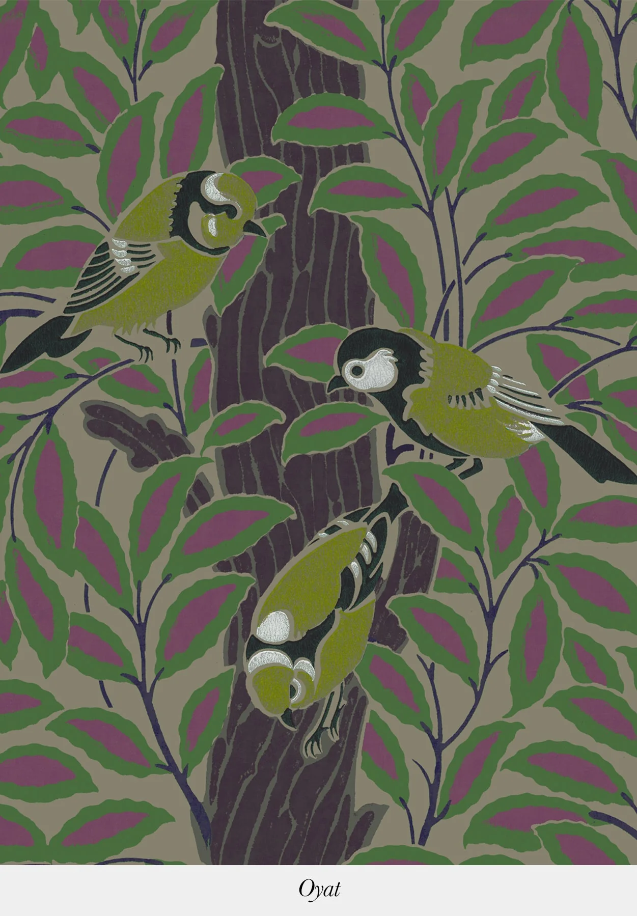Le Chant des Oiseaux - Image 8