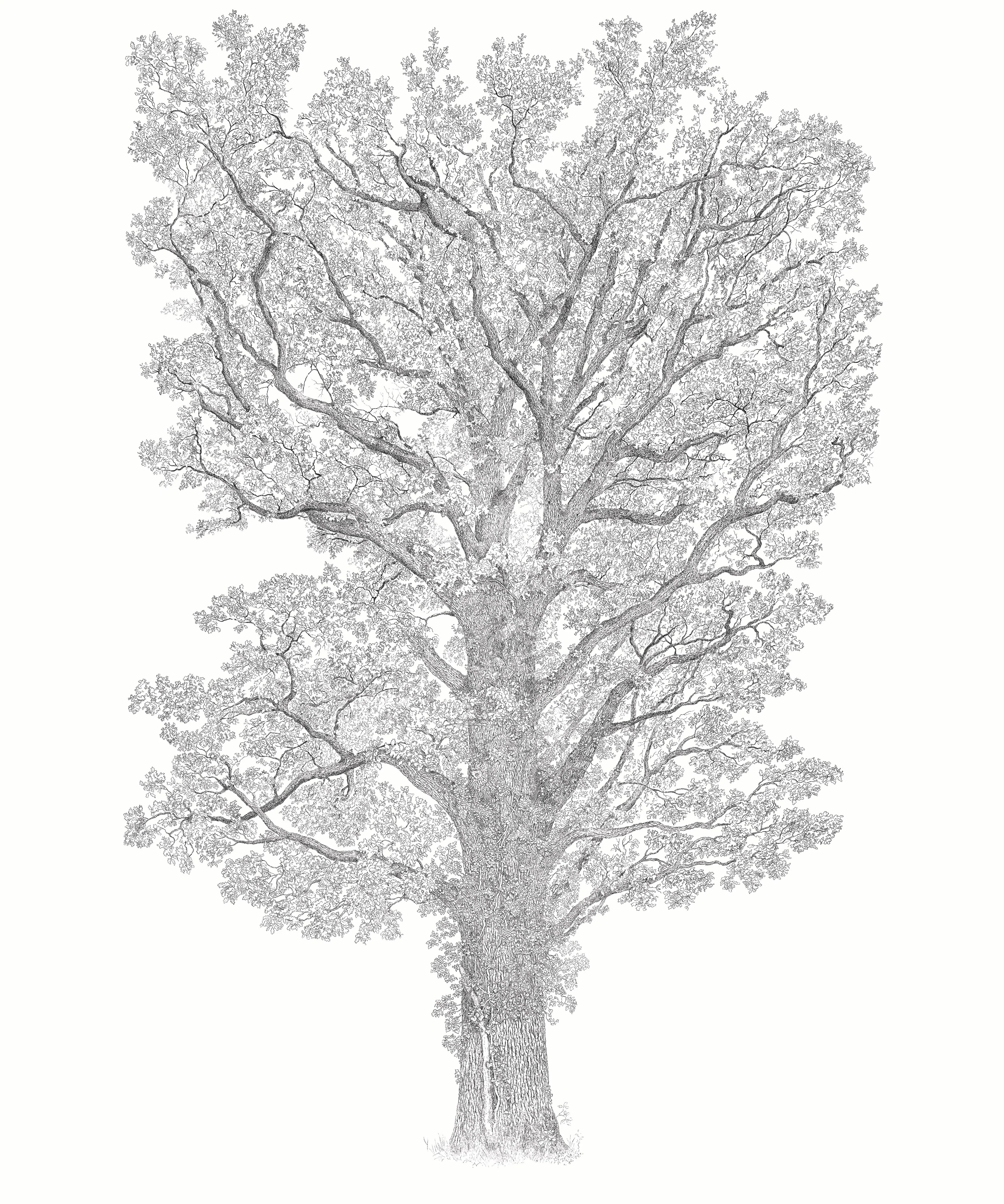 Le Grand Chêne Bespoke - Image 7