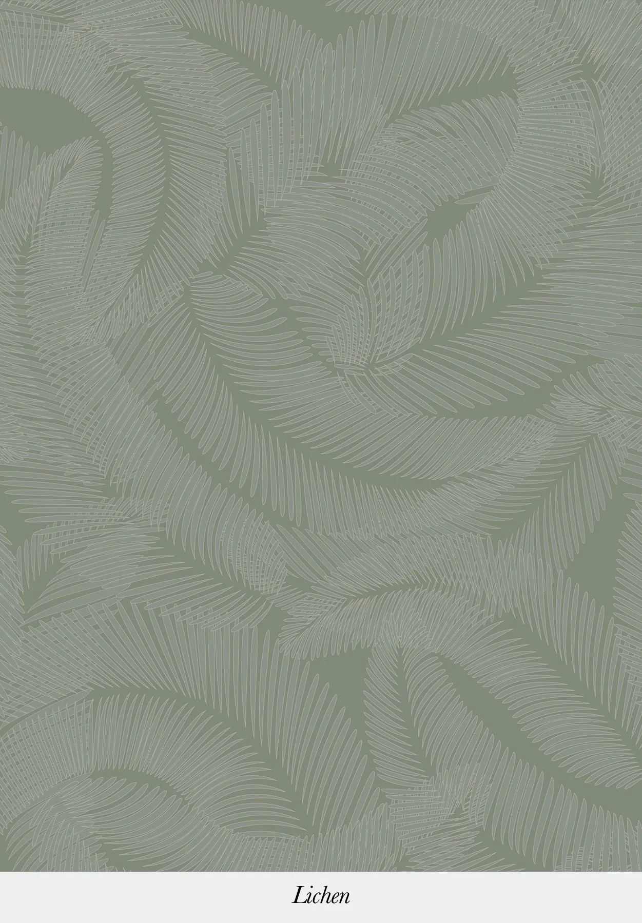 Plumes - Image 4