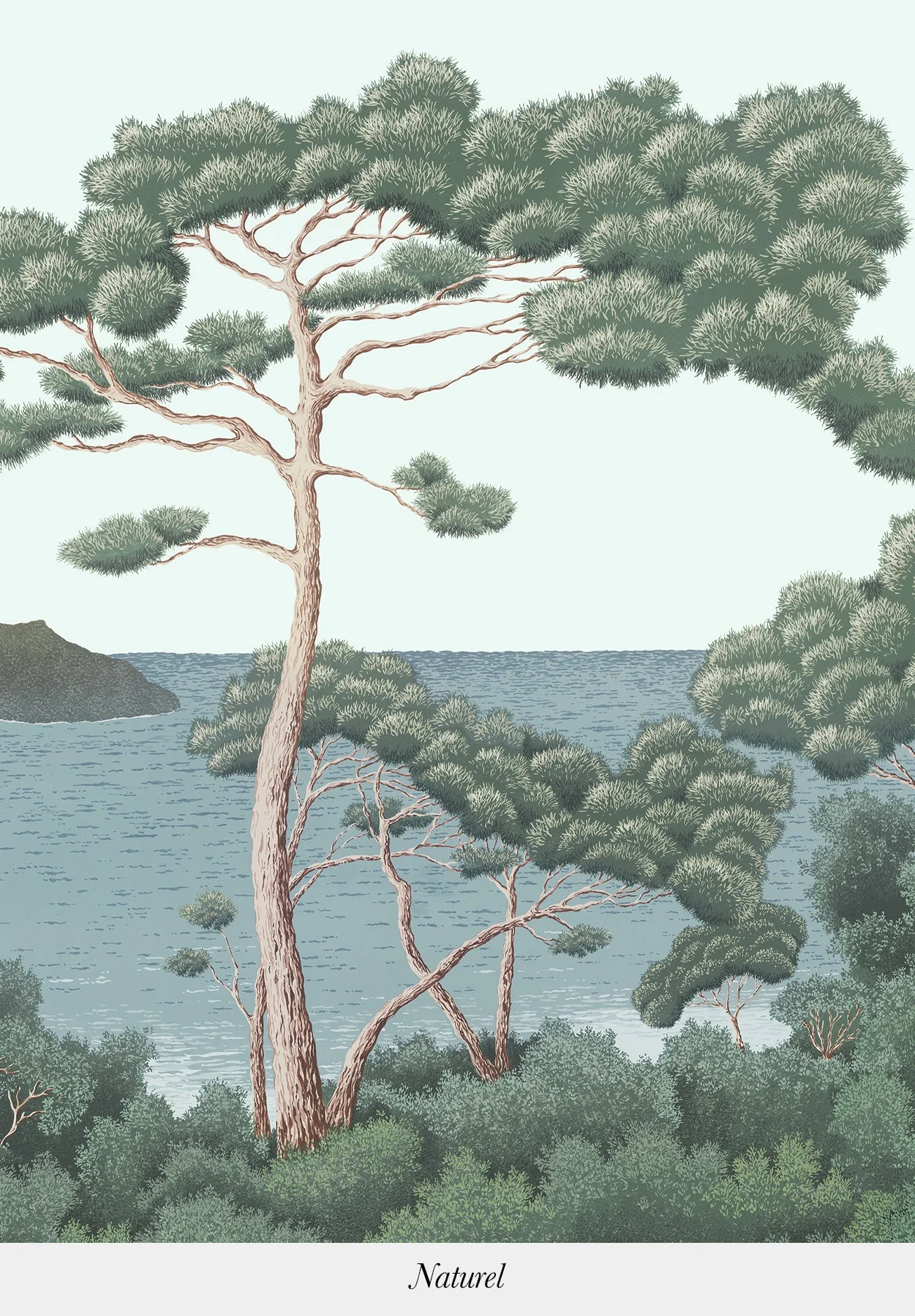 Port-Cros - Image 5