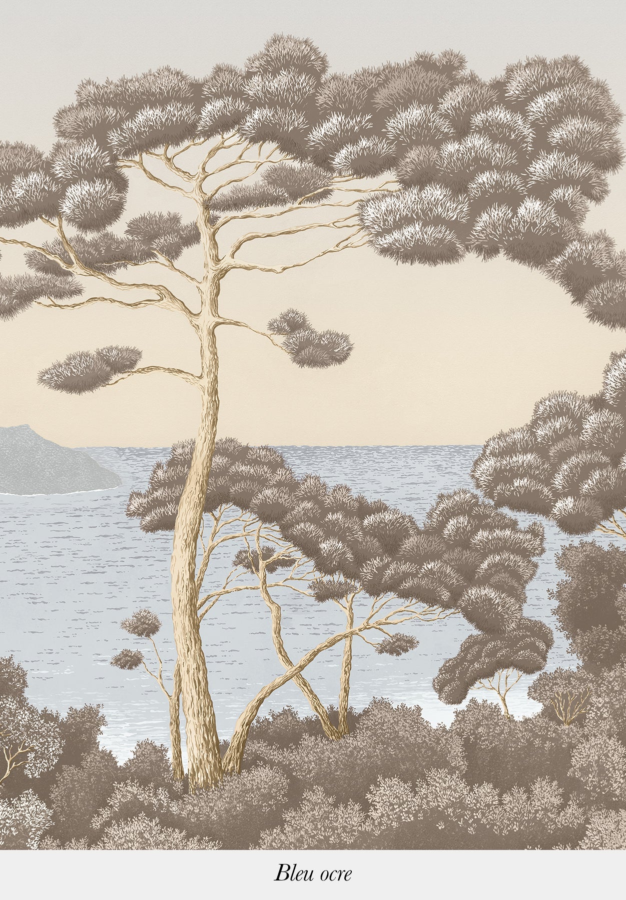Port-Cros - Image 7