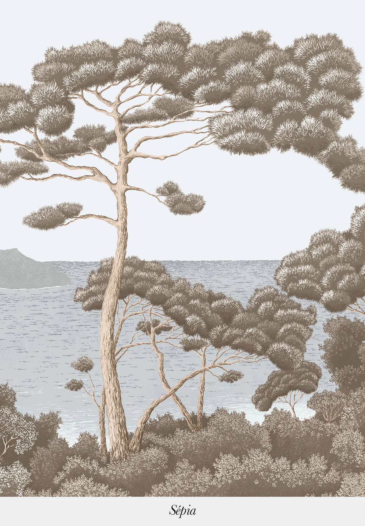 Port-Cros bespoke - Image 8