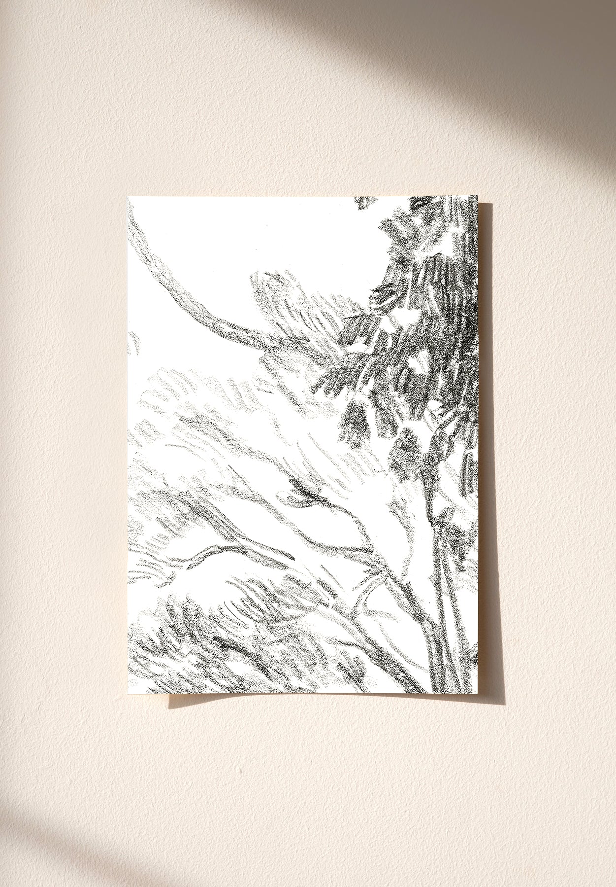 Promenade Sample
