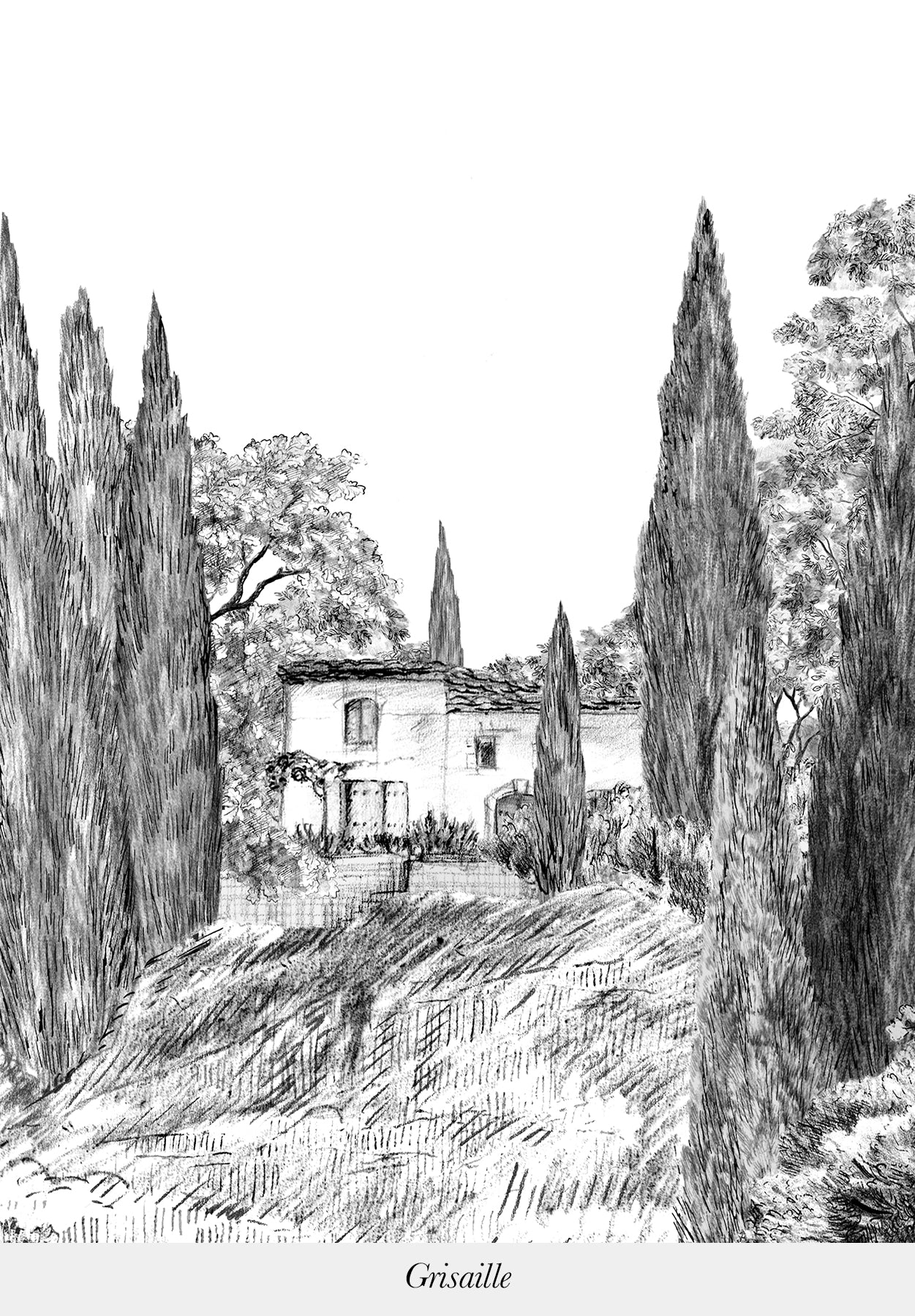 Provence Greyscale - Image 6