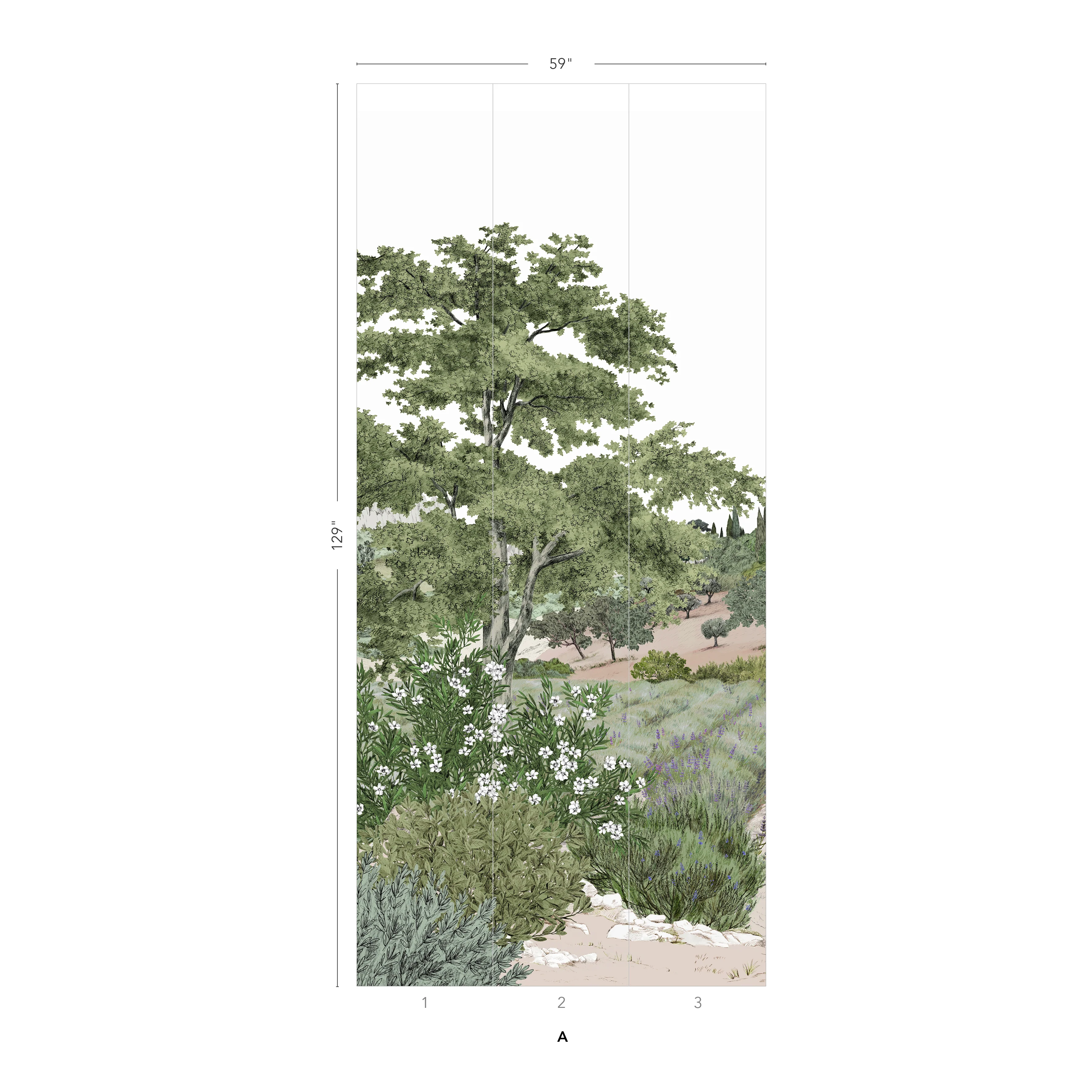 Provence Color - Image 10
