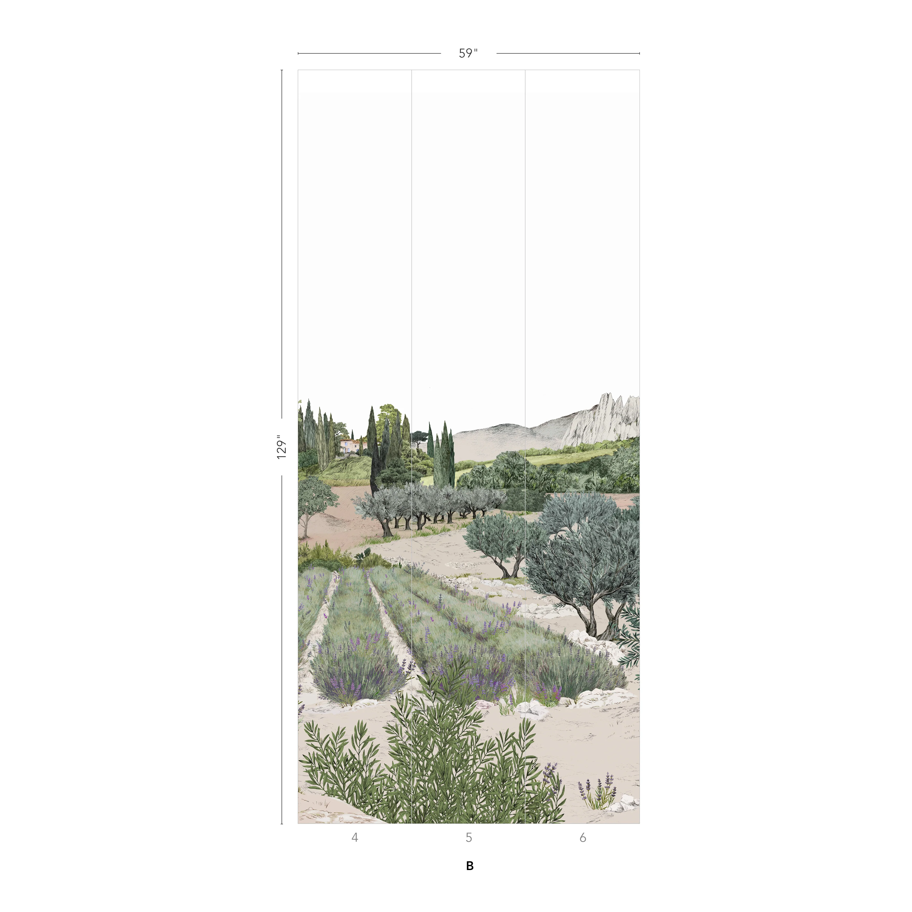 Provence Color - Image 11