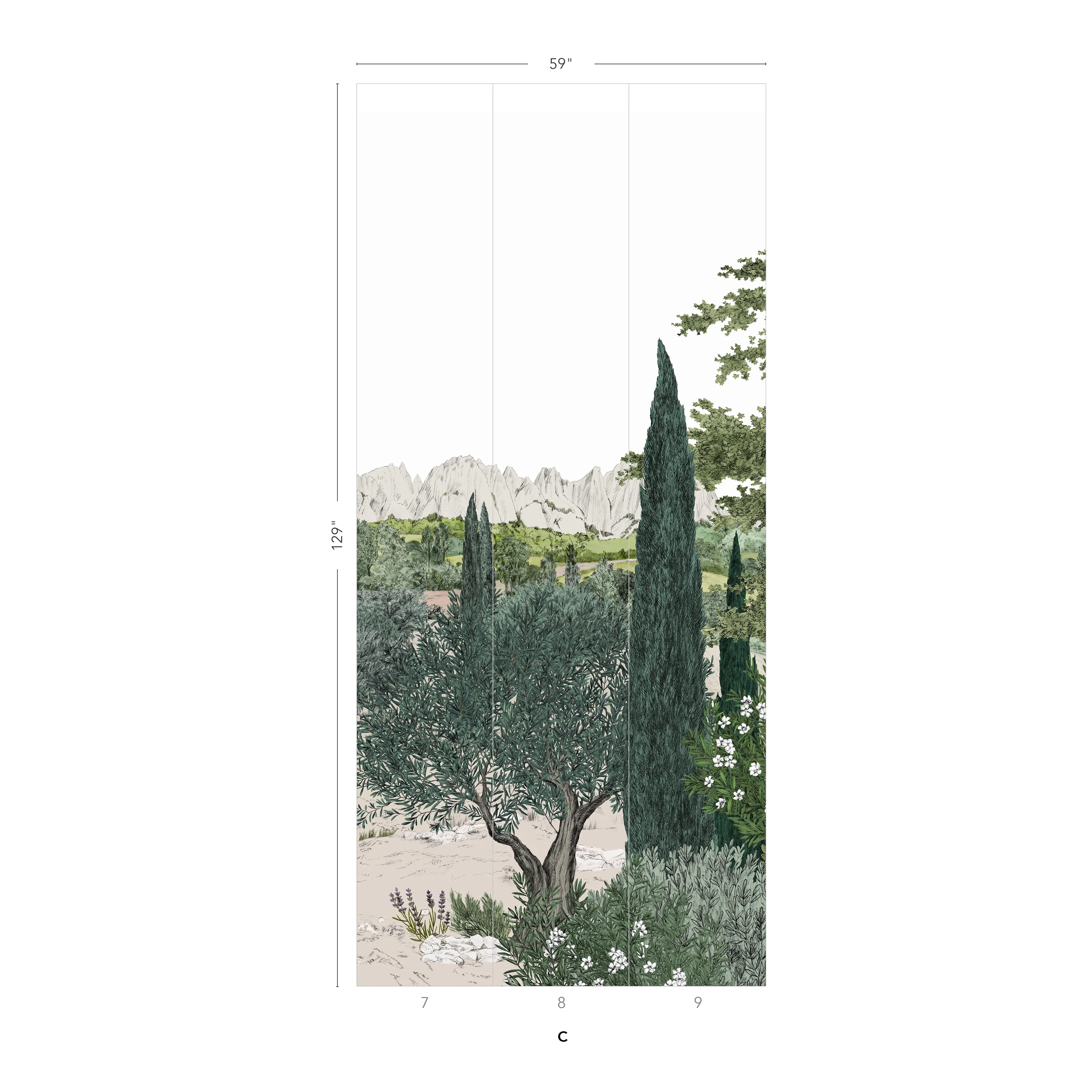 Provence Color - Image 12