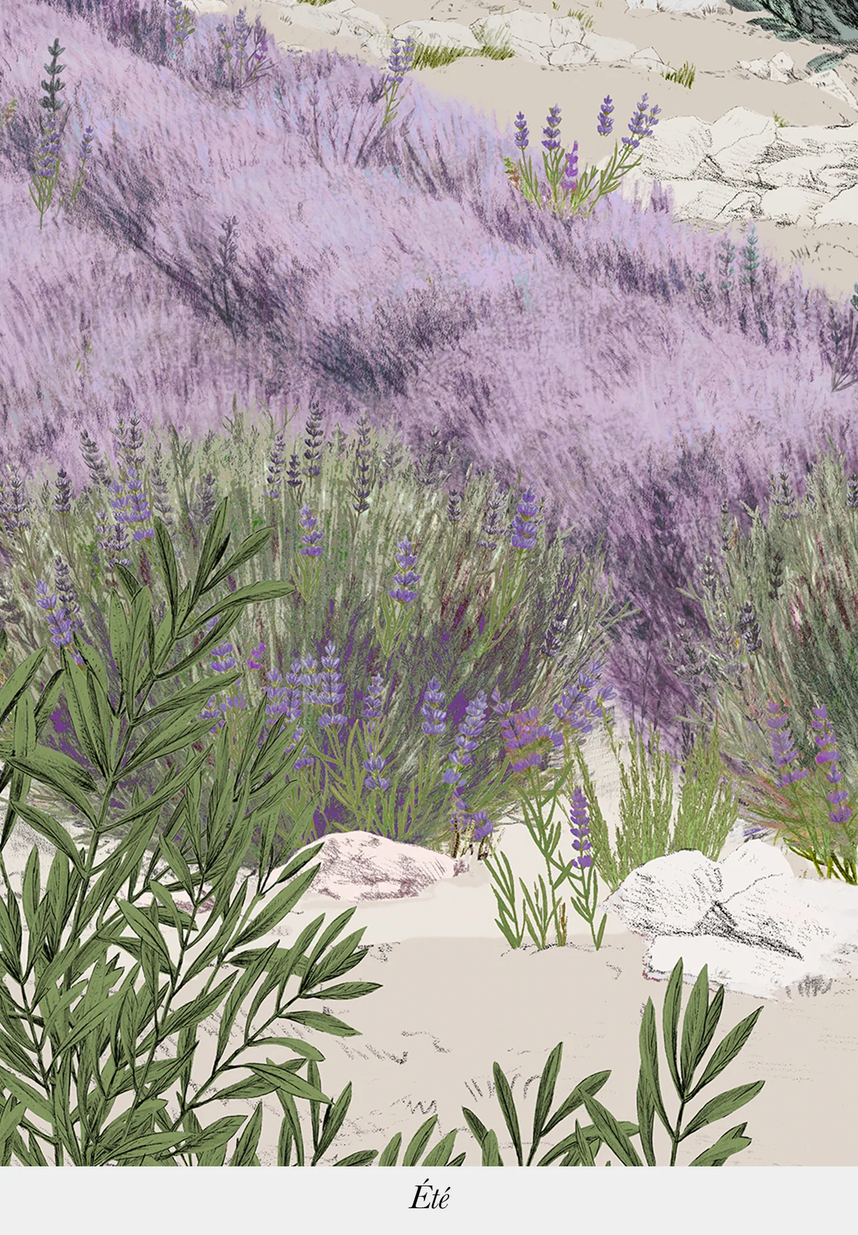 Provence Color - Image 3