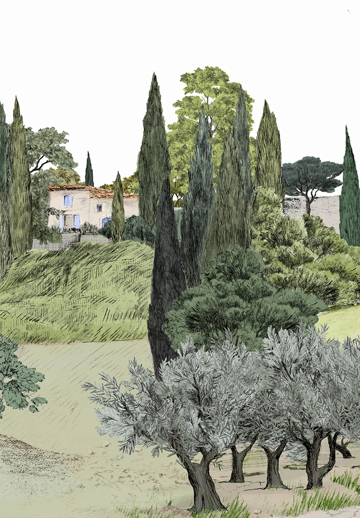Provence Color - Image 4