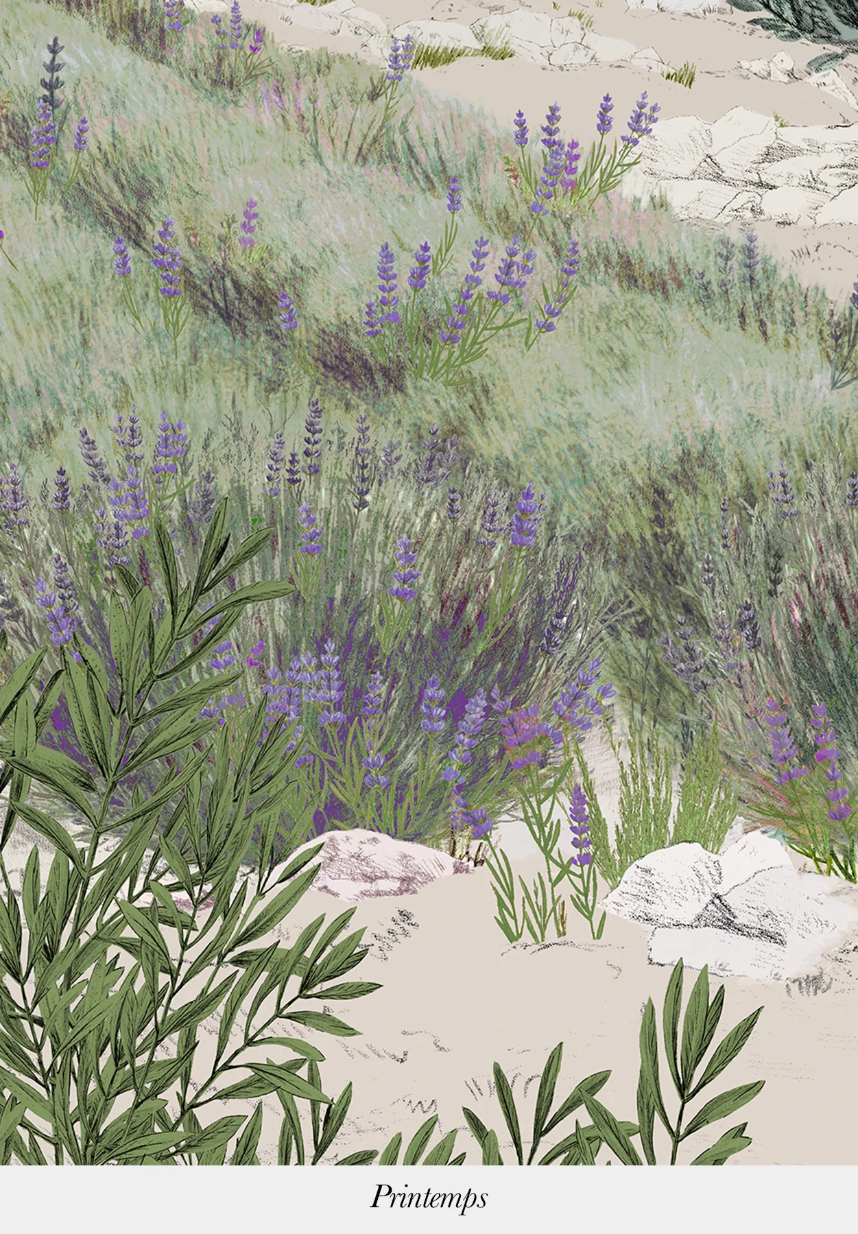 Provence Color - Image 7