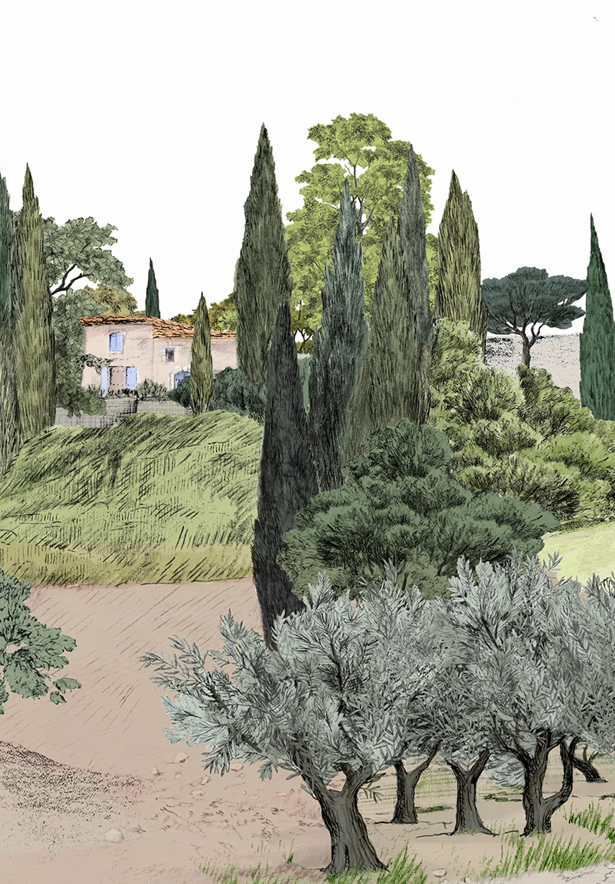 Provence Color - Image 8