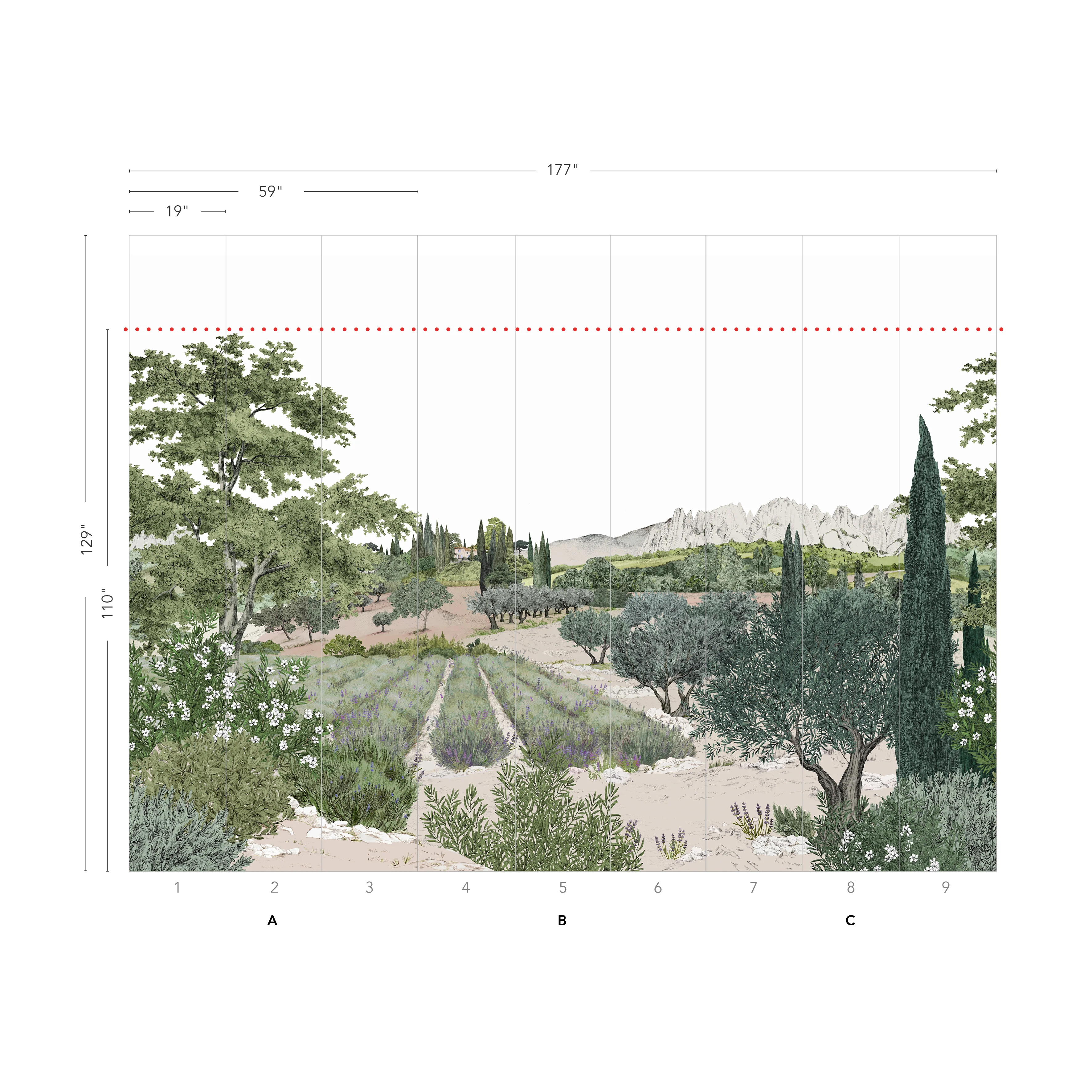 Provence Color - Image 9