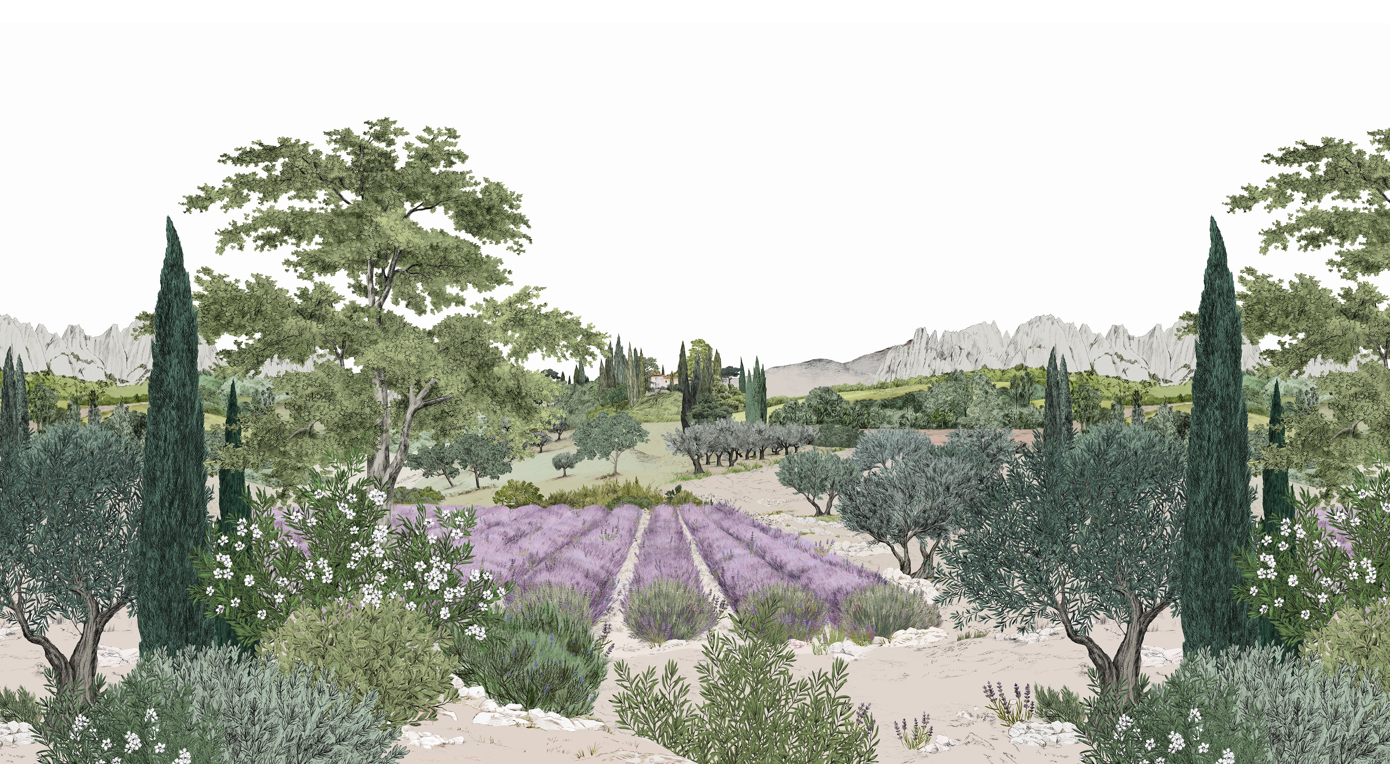 Provence Color Bespoke - Image 11