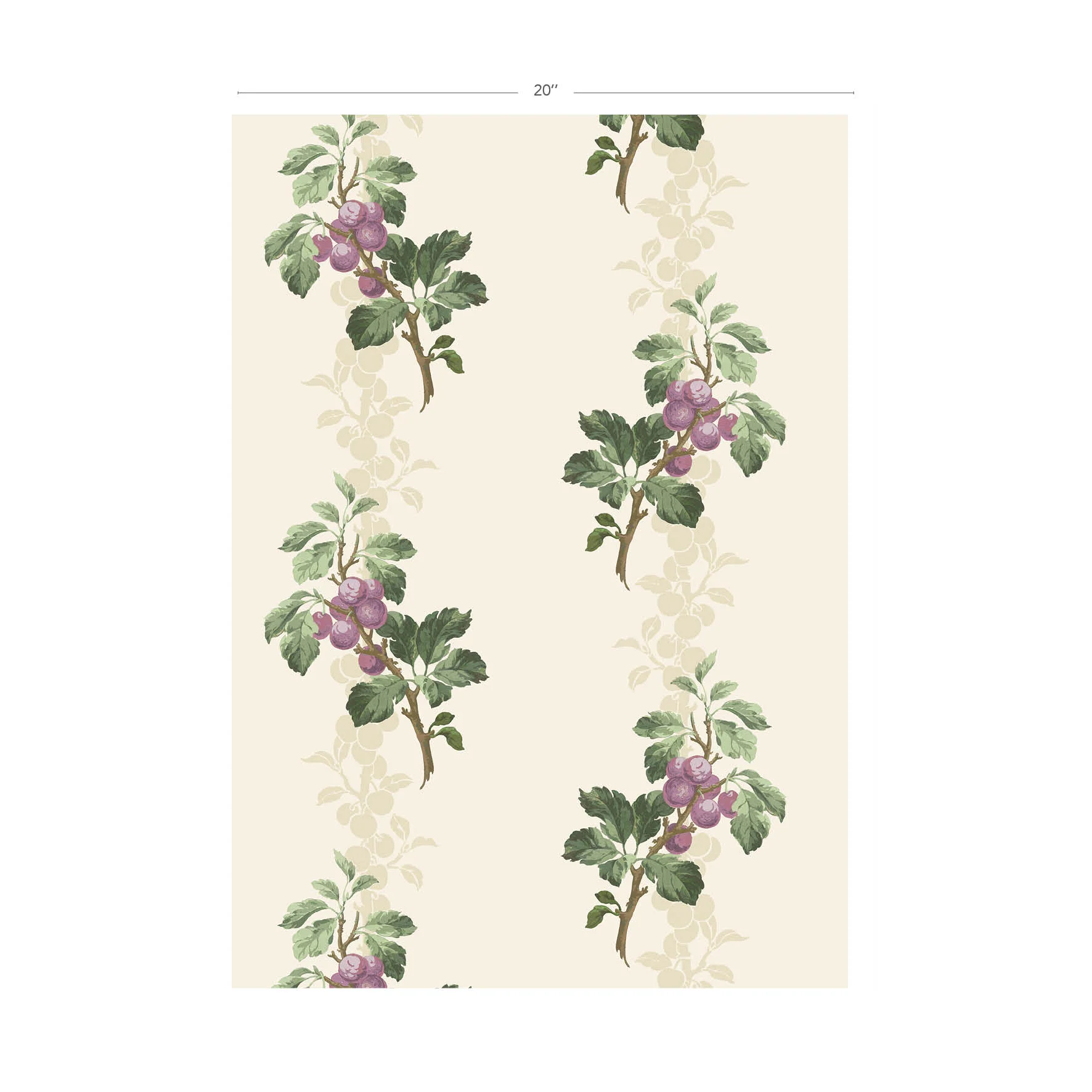 Prunus - Image 5