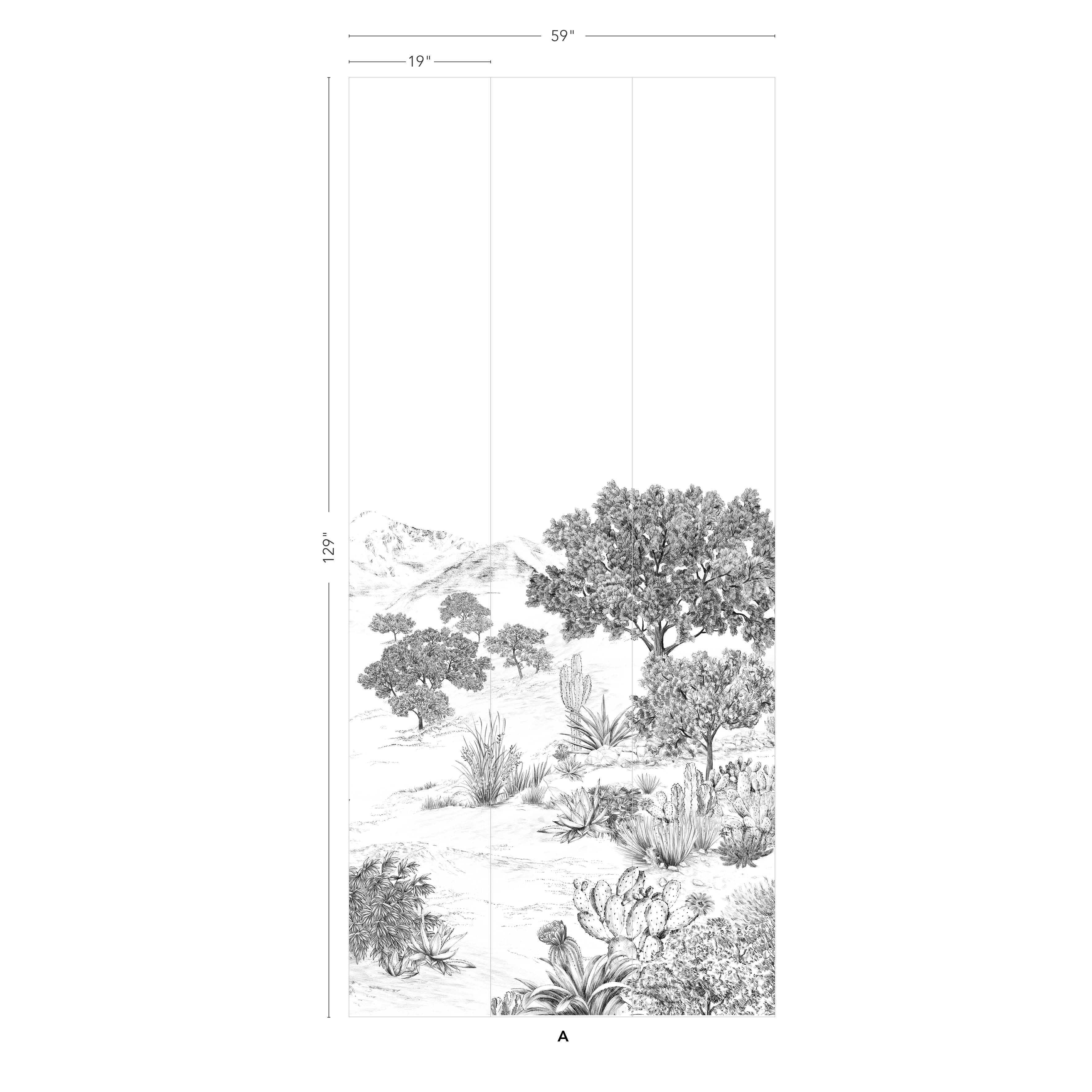 Succulentes - Image 7