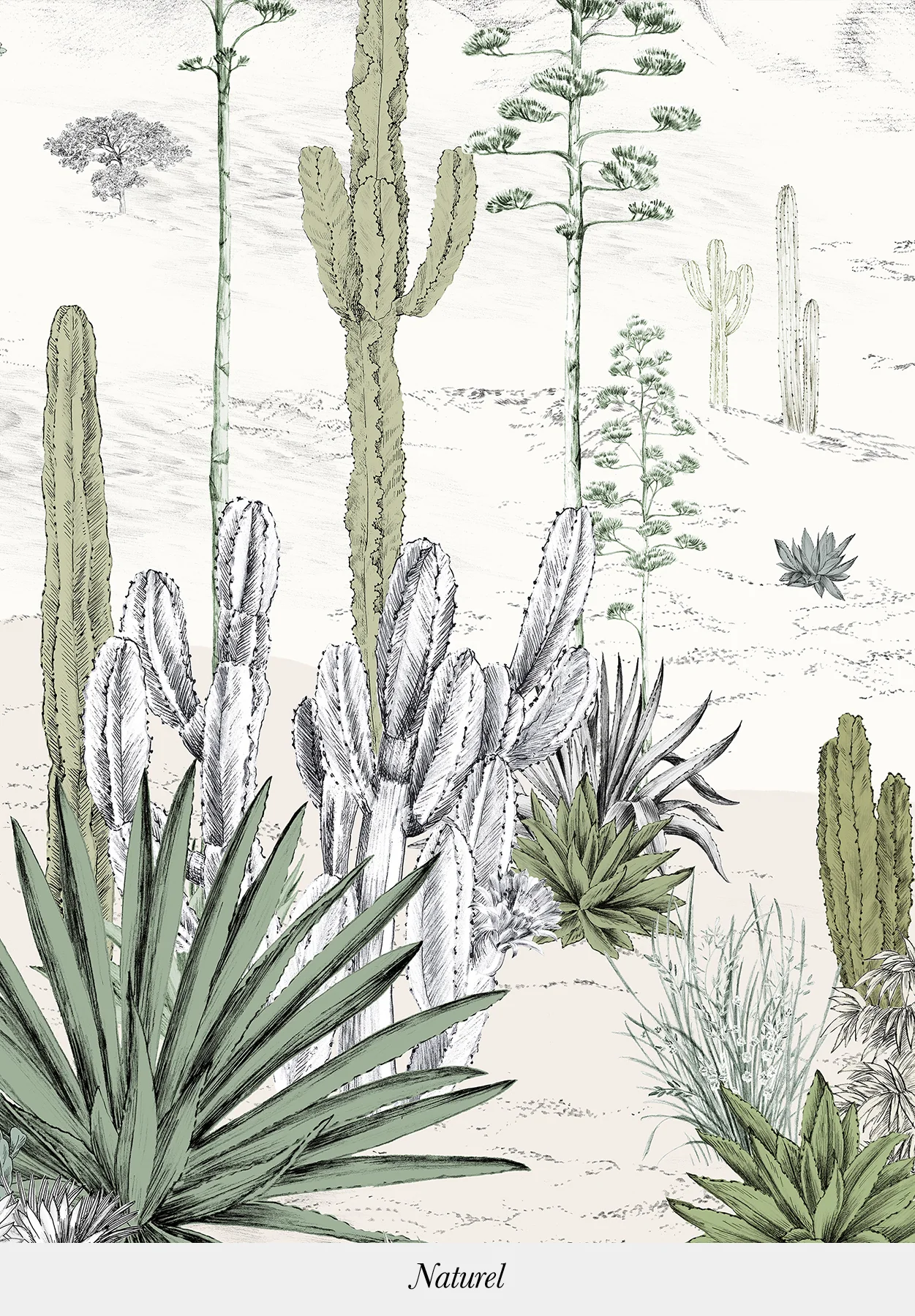 Succulentes Bespoke - Image 5