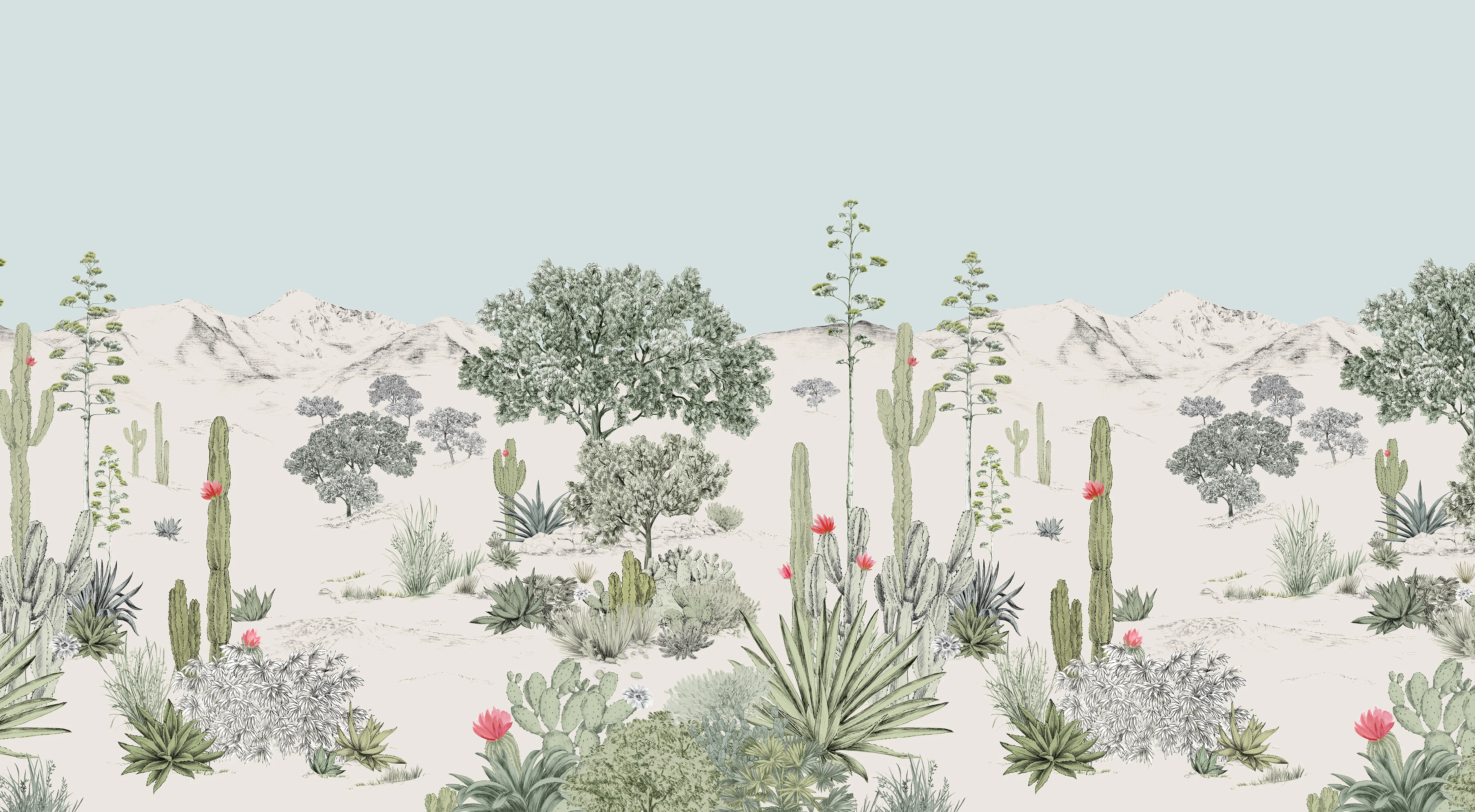 Succulentes Bespoke - Image 6