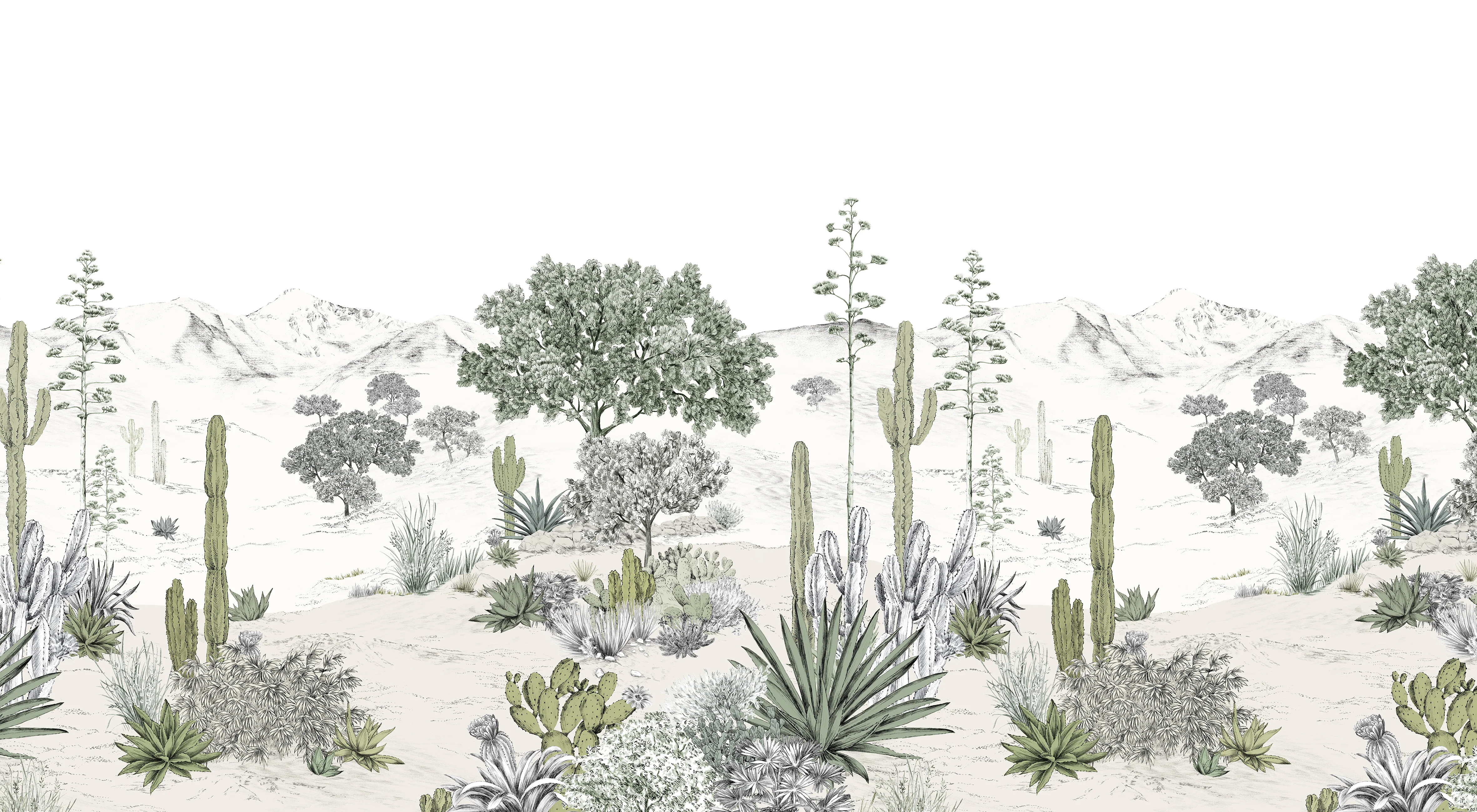 Succulentes Bespoke - Image 8