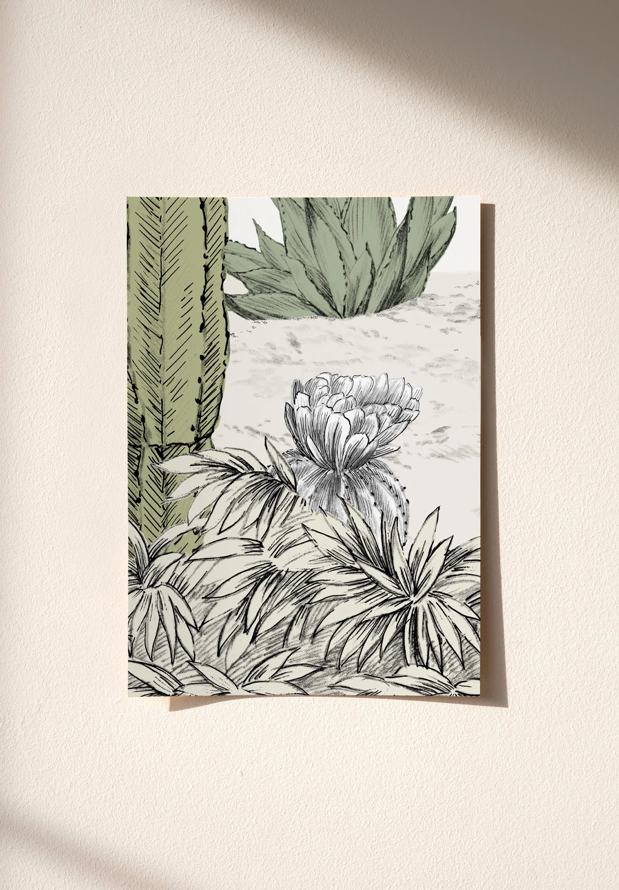 Succulentes Sample - Image 2