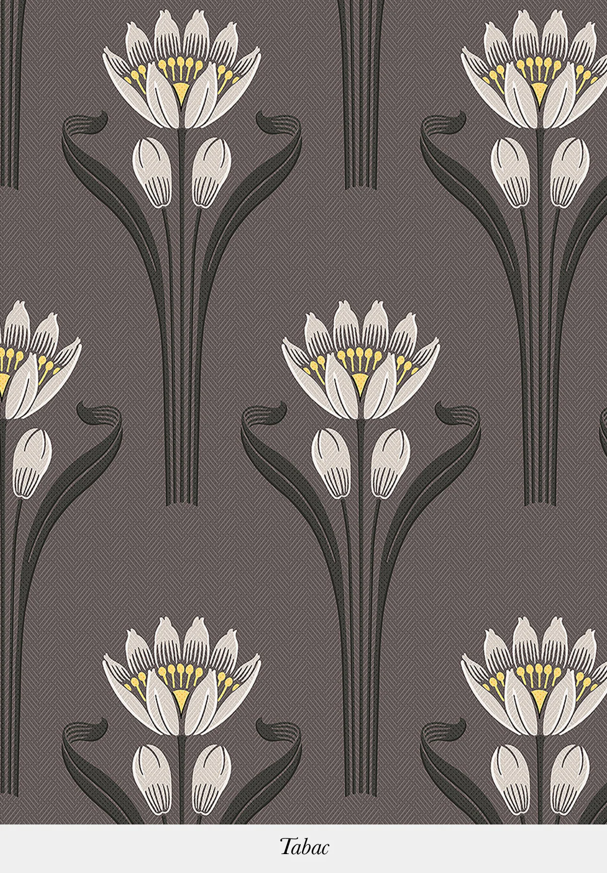 TULIPES - Image 10
