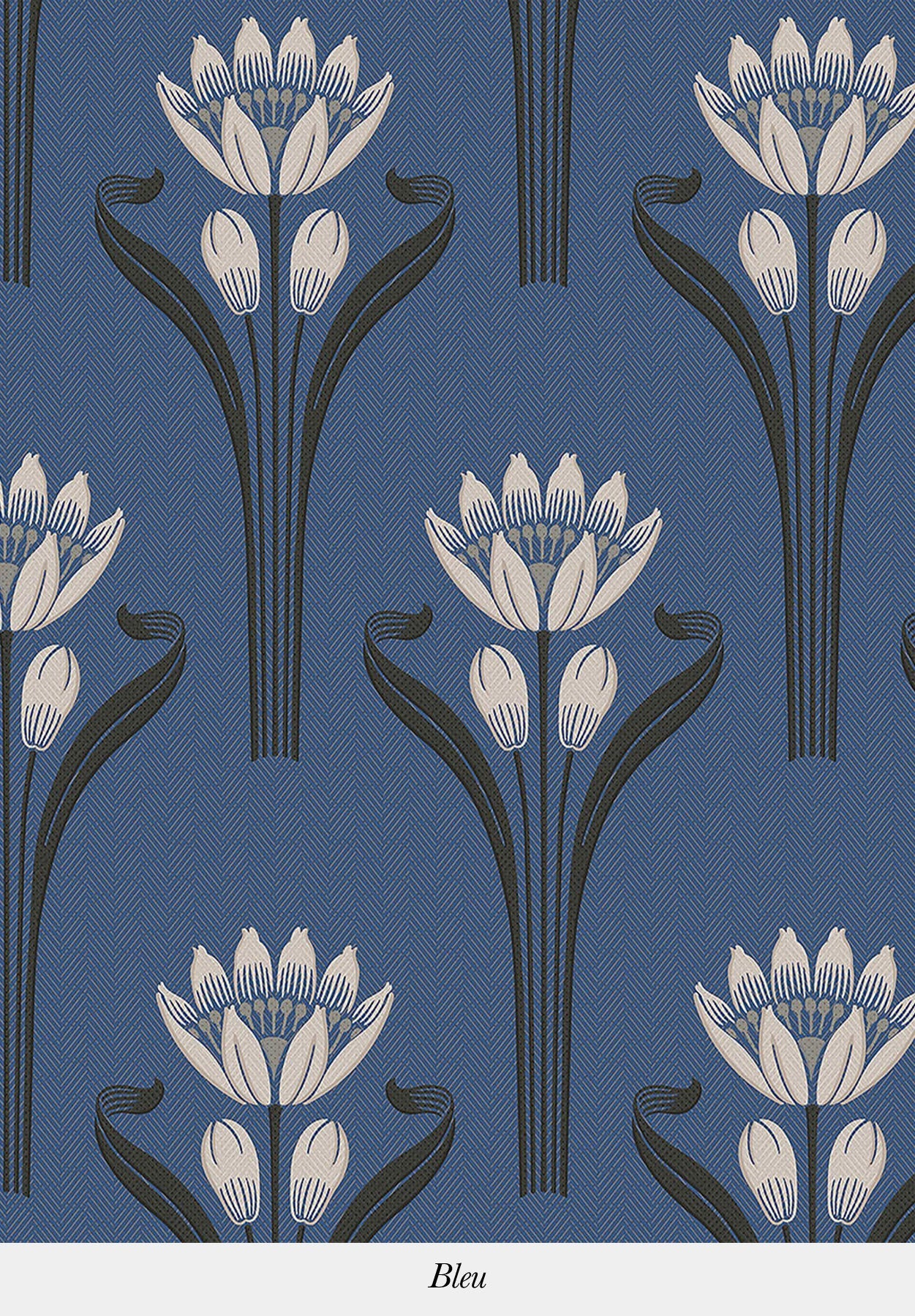 TULIPES - Image 6