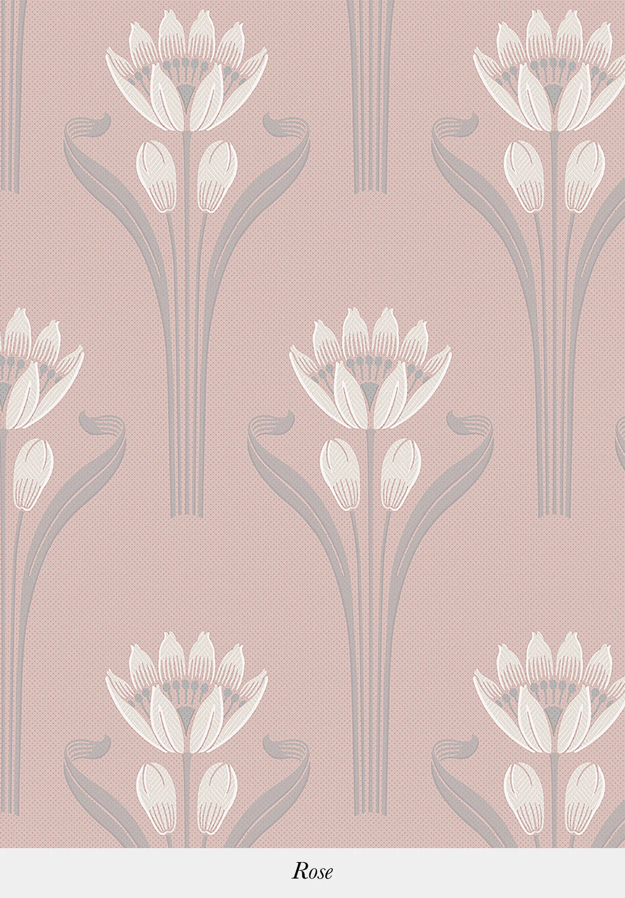TULIPES - Image 8