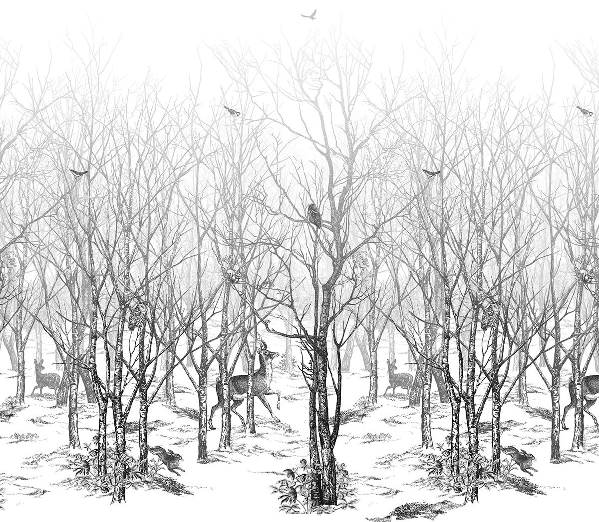 Forêt Enchantée - Image 3