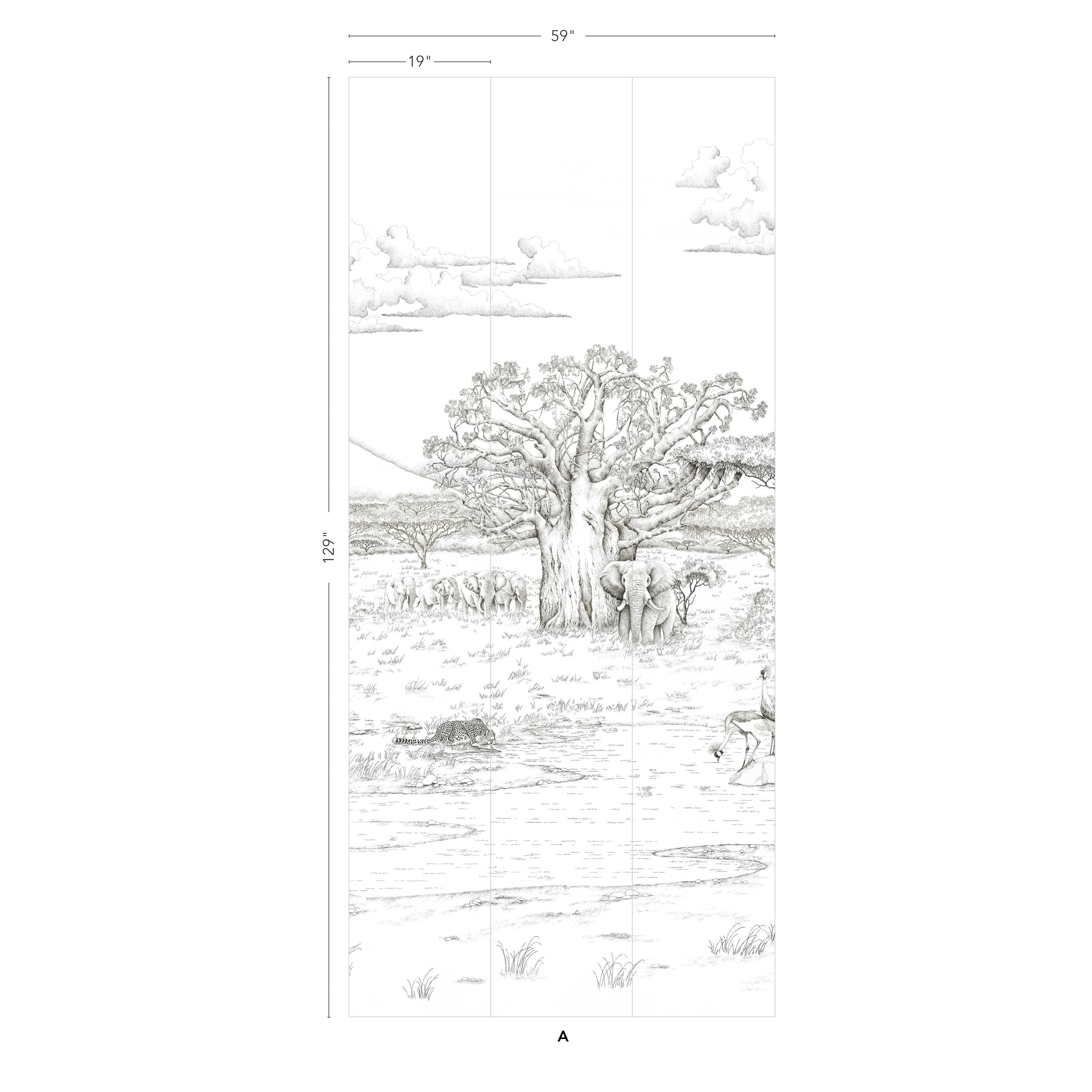 Vallée du Rift - Image 10