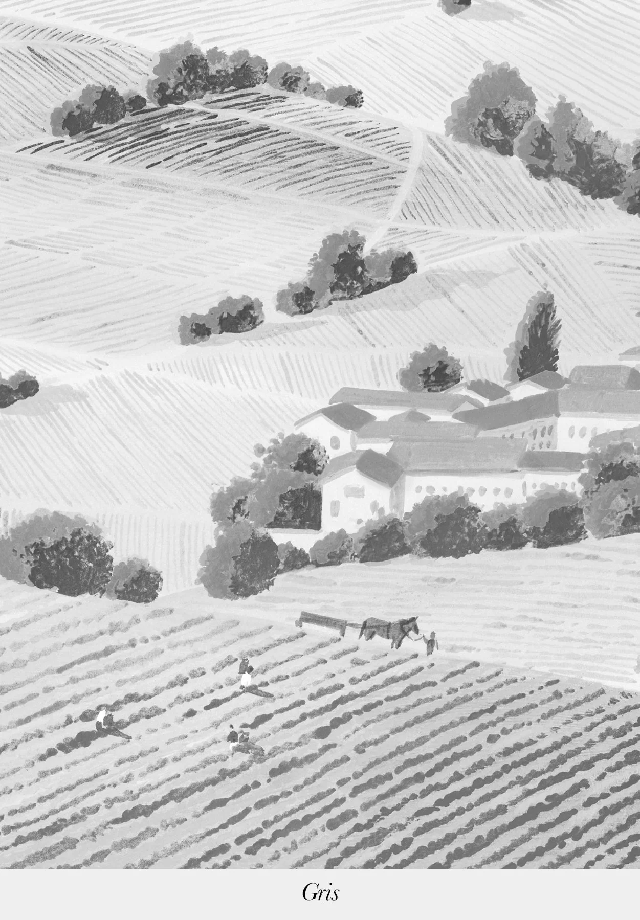 Vendanges - Image 4